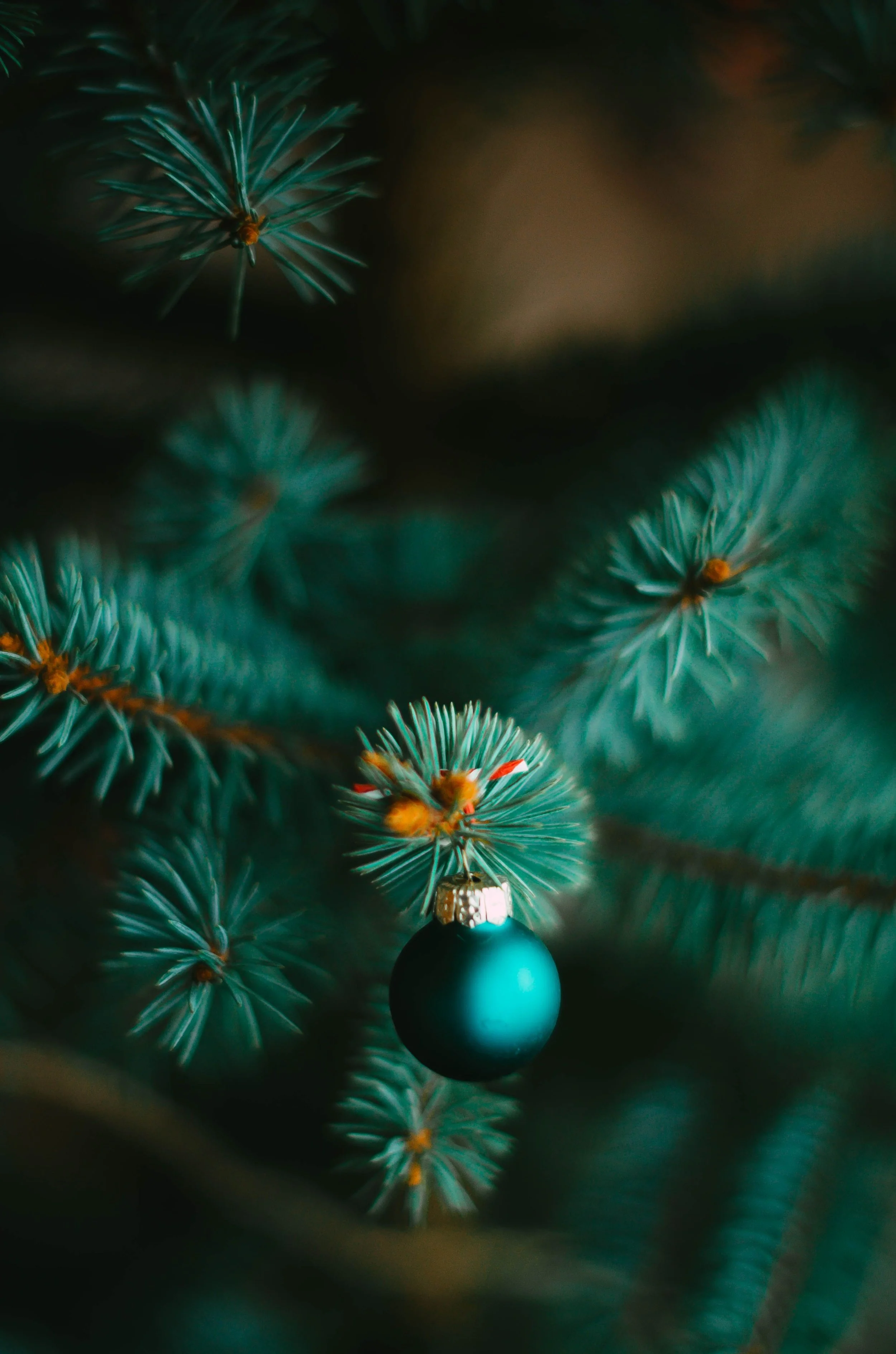 Can You Hear the Christmas Bells