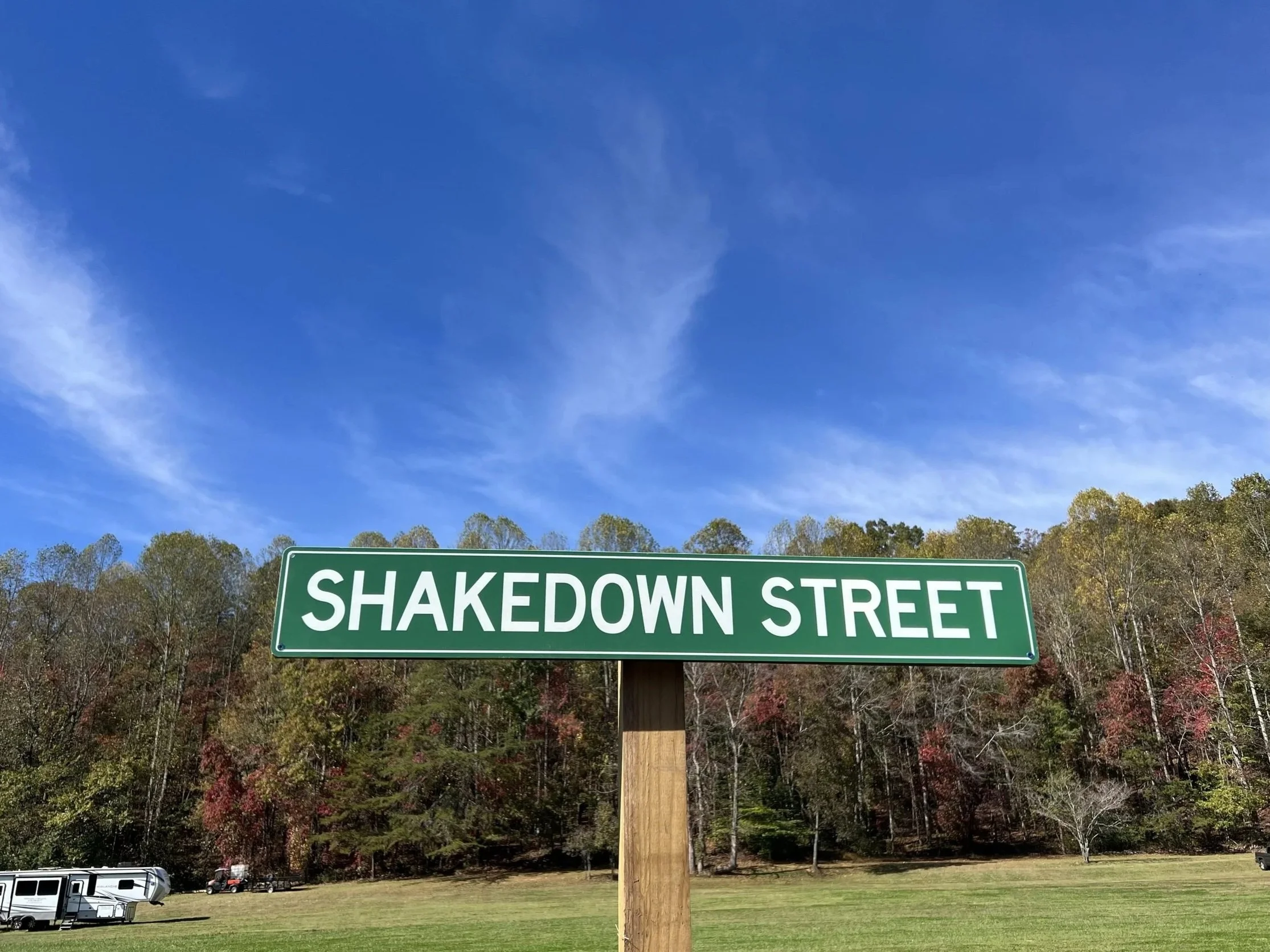 Shakedown_Street2.jpg