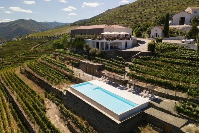 wine estate 1.jpeg