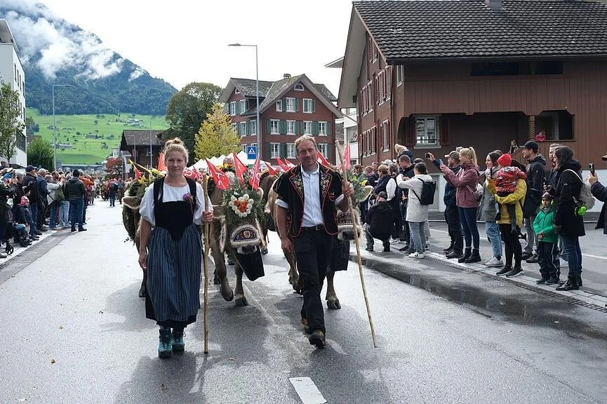 cow festival 3.jpeg