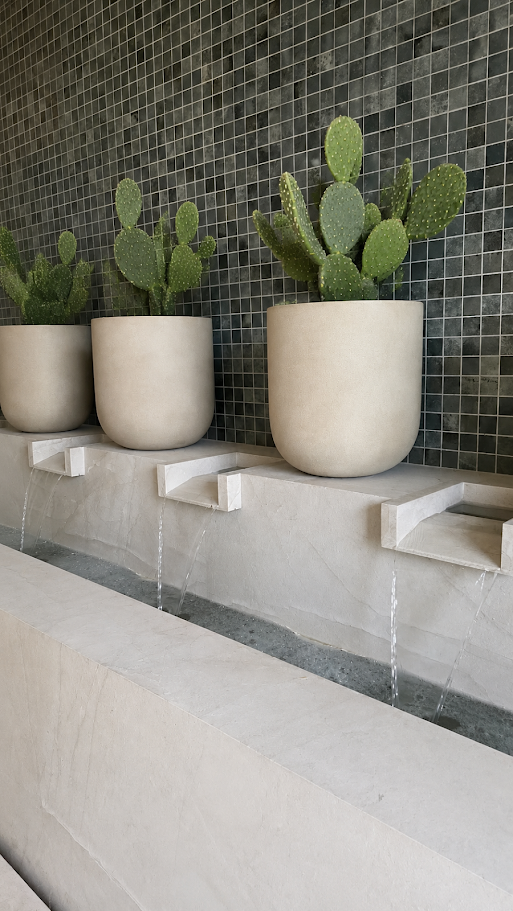 HEYDT POTS with CACTUS.png