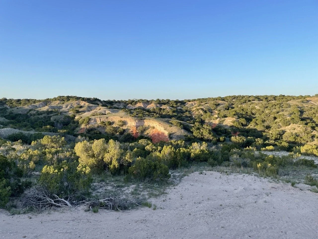 tx10064.jpg
