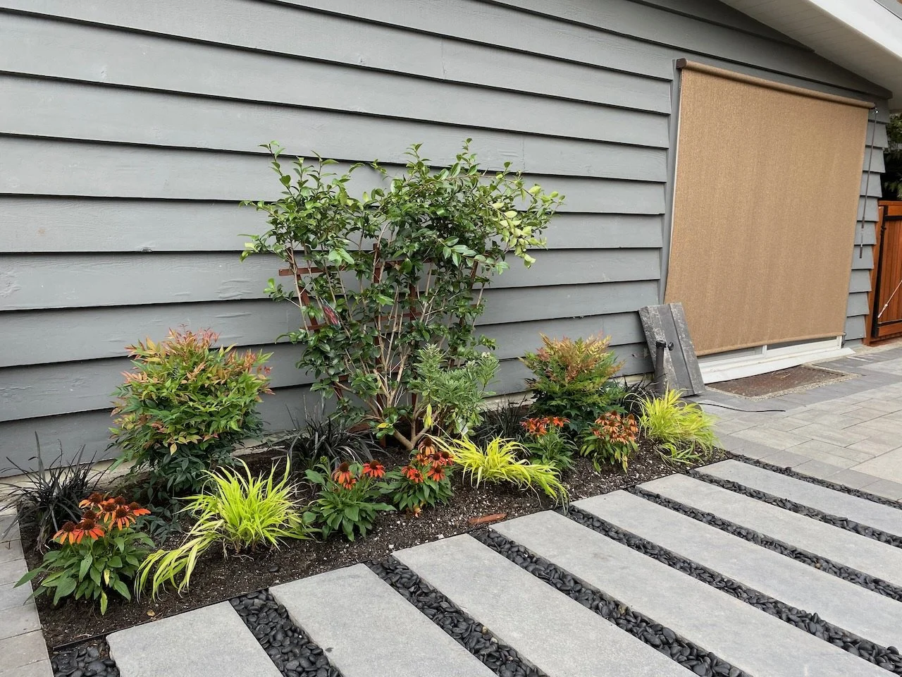 A garden bed with various green and red plants next to a gray house with horizontal siding and a beige outdoor window shade, with a stone pathway in front.