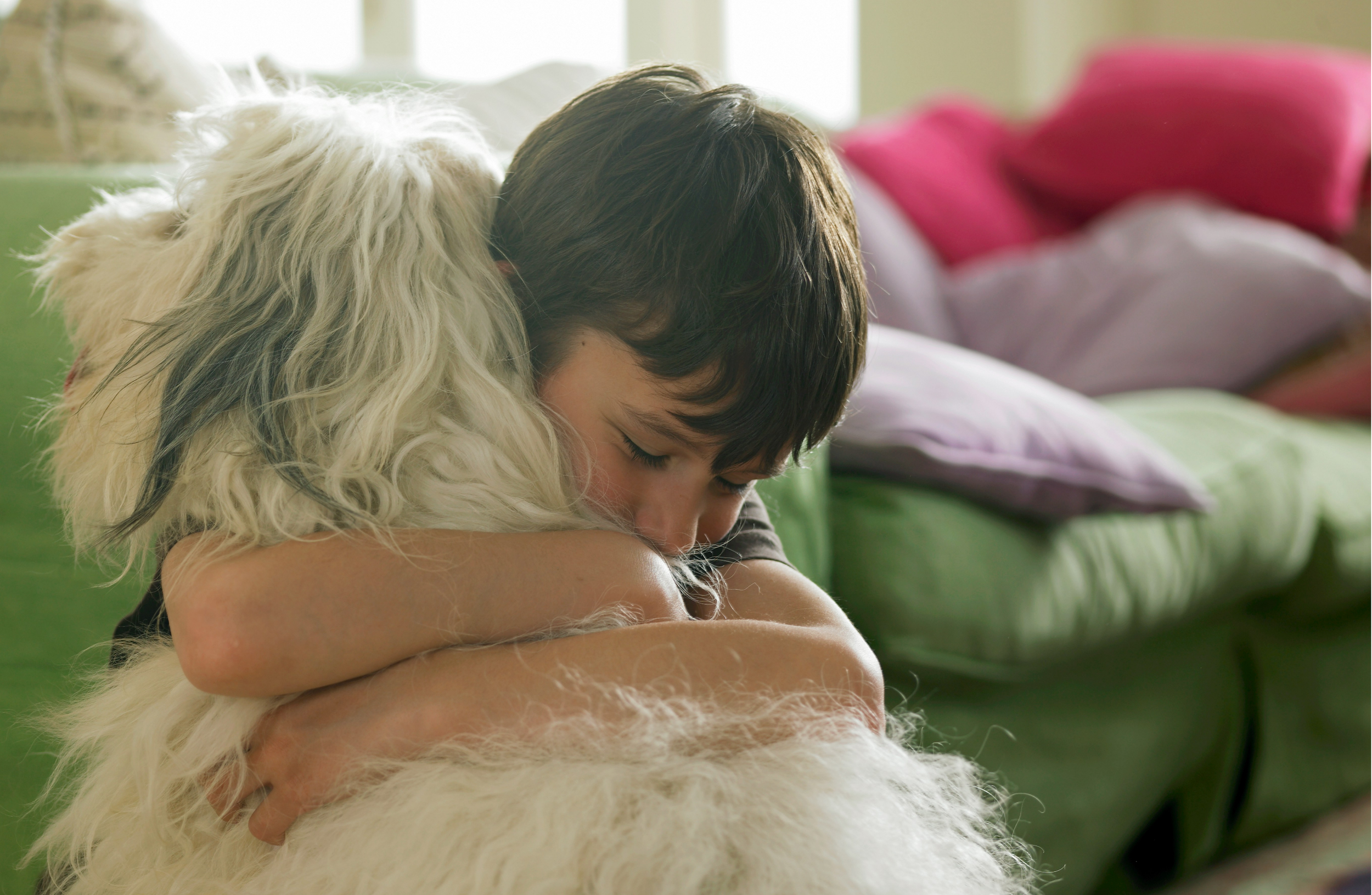 A person with short brown hair hugging a white, fluffy dog in a brightly lit room with colorful pillows in the background.