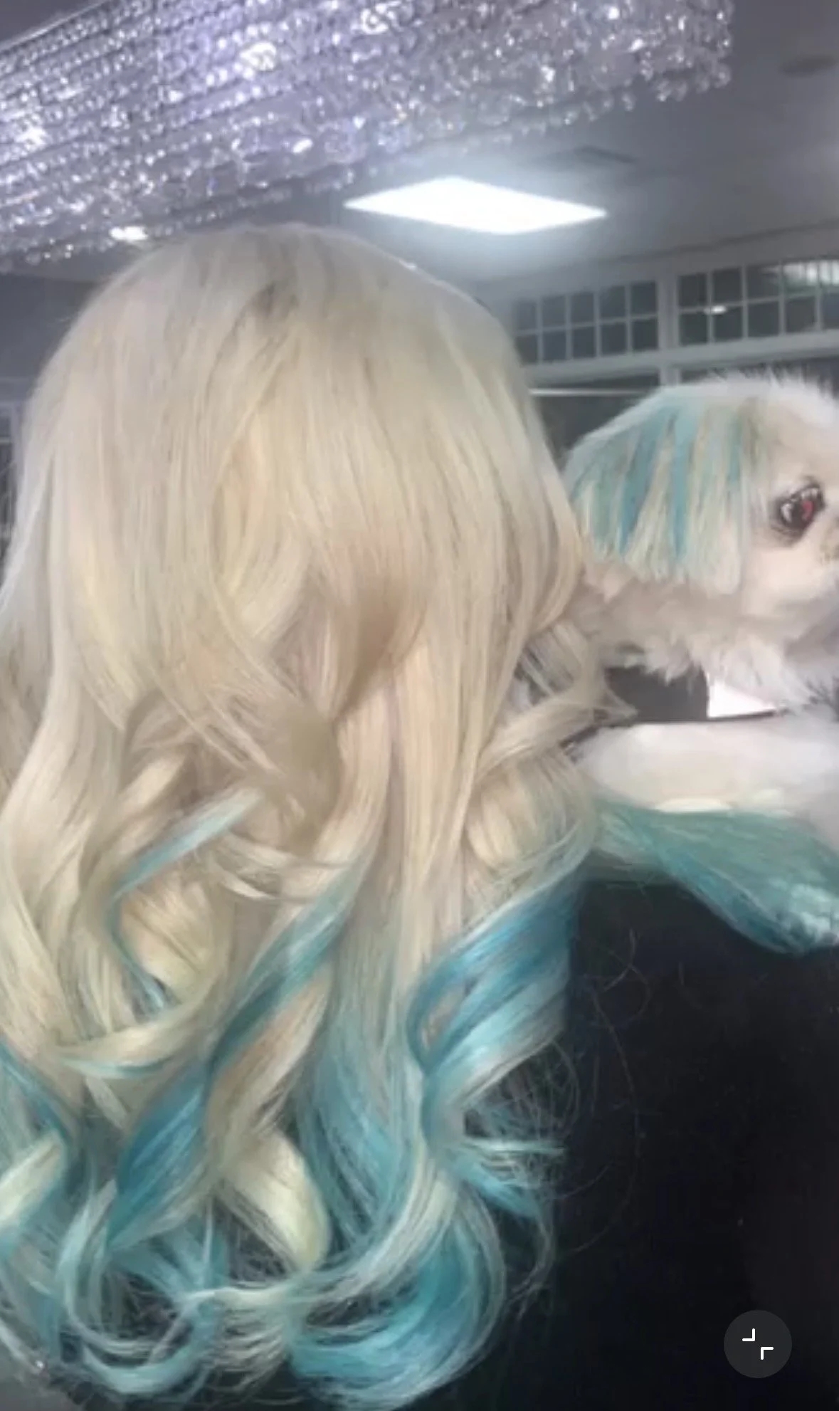 A person with long, wavy, blonde hair with streaks of turquoise, showing hair styling or coloring process in a salon with bright overhead lighting.