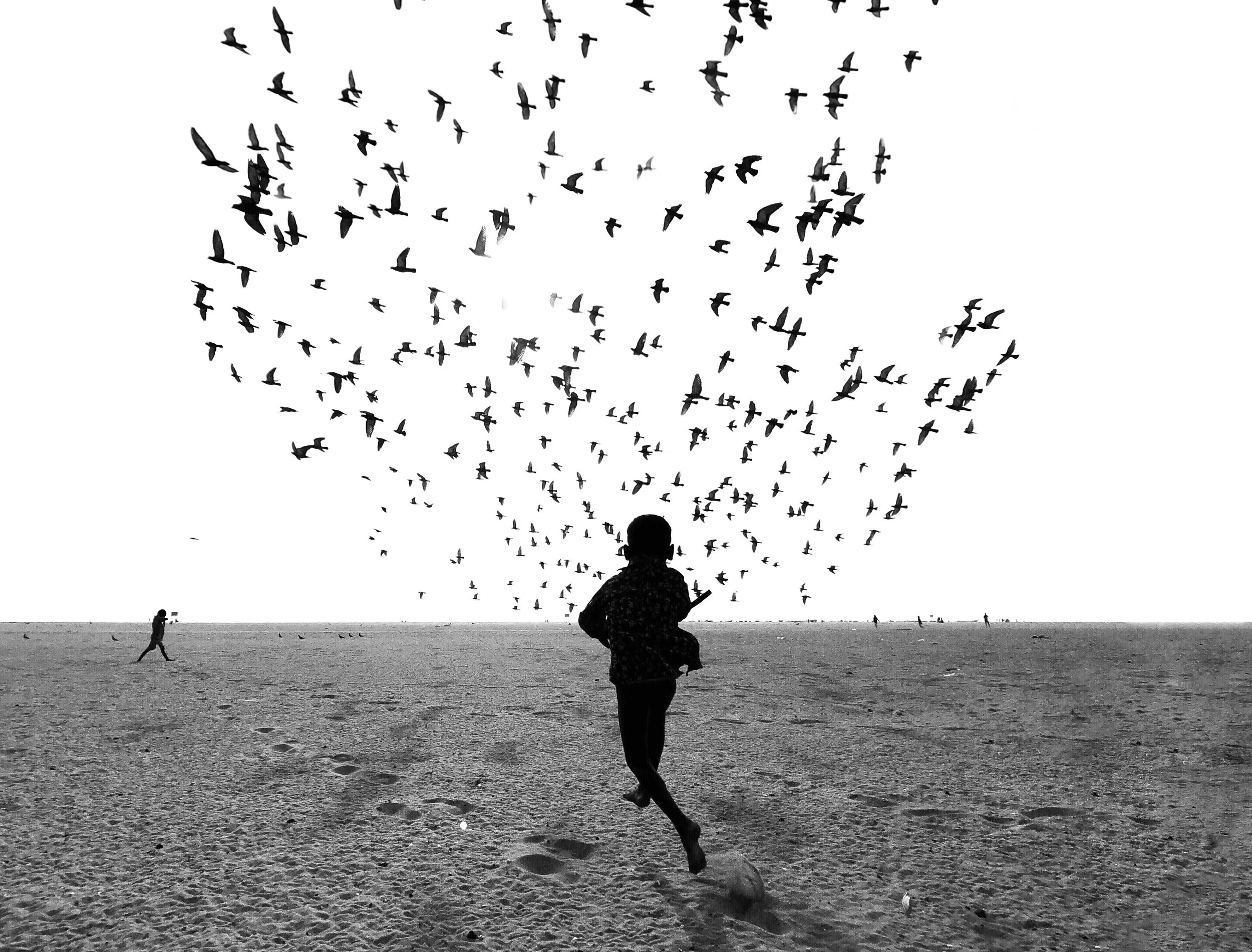 We Run, You Fly | wryf001