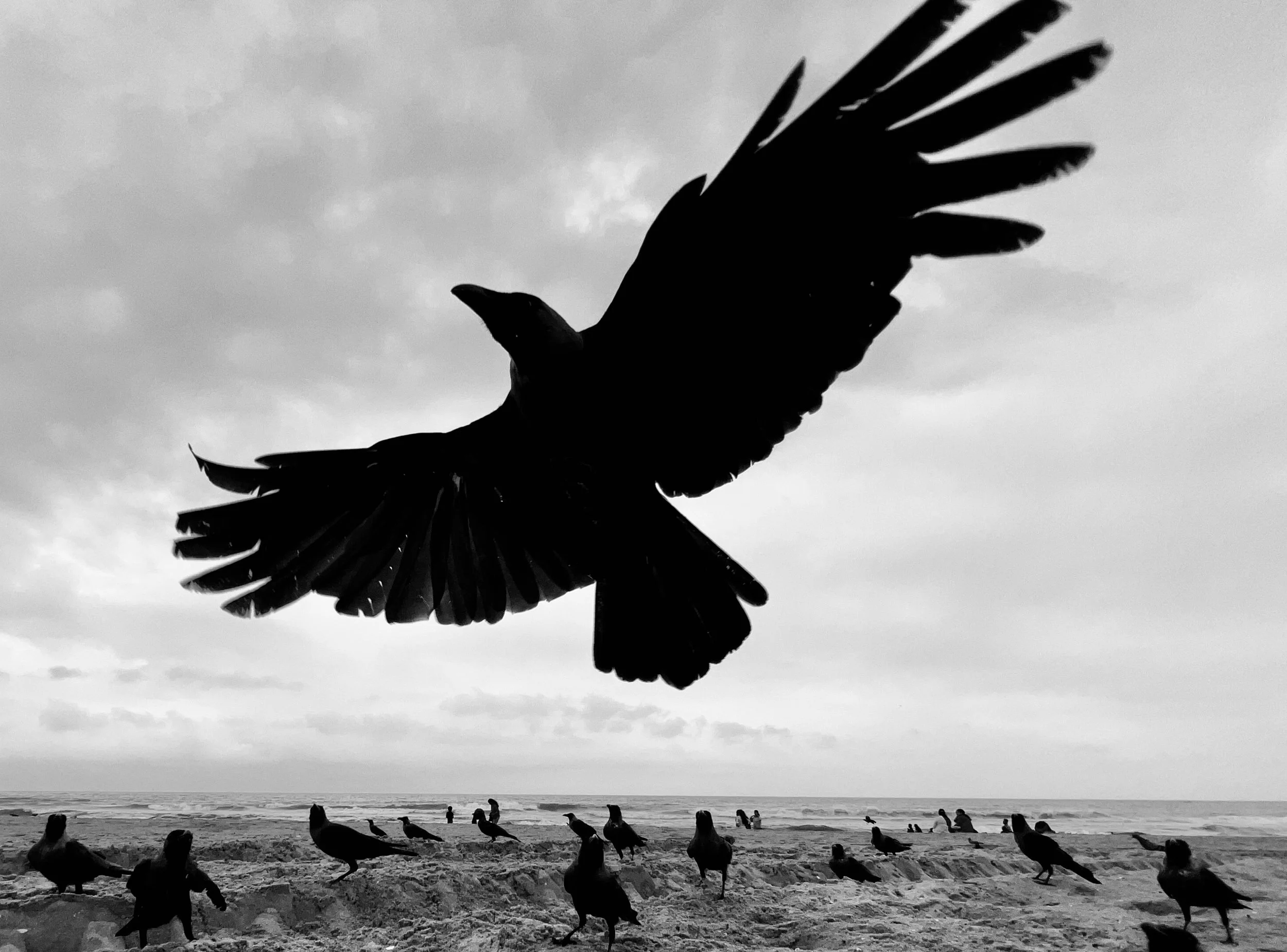 Flying By | fby015