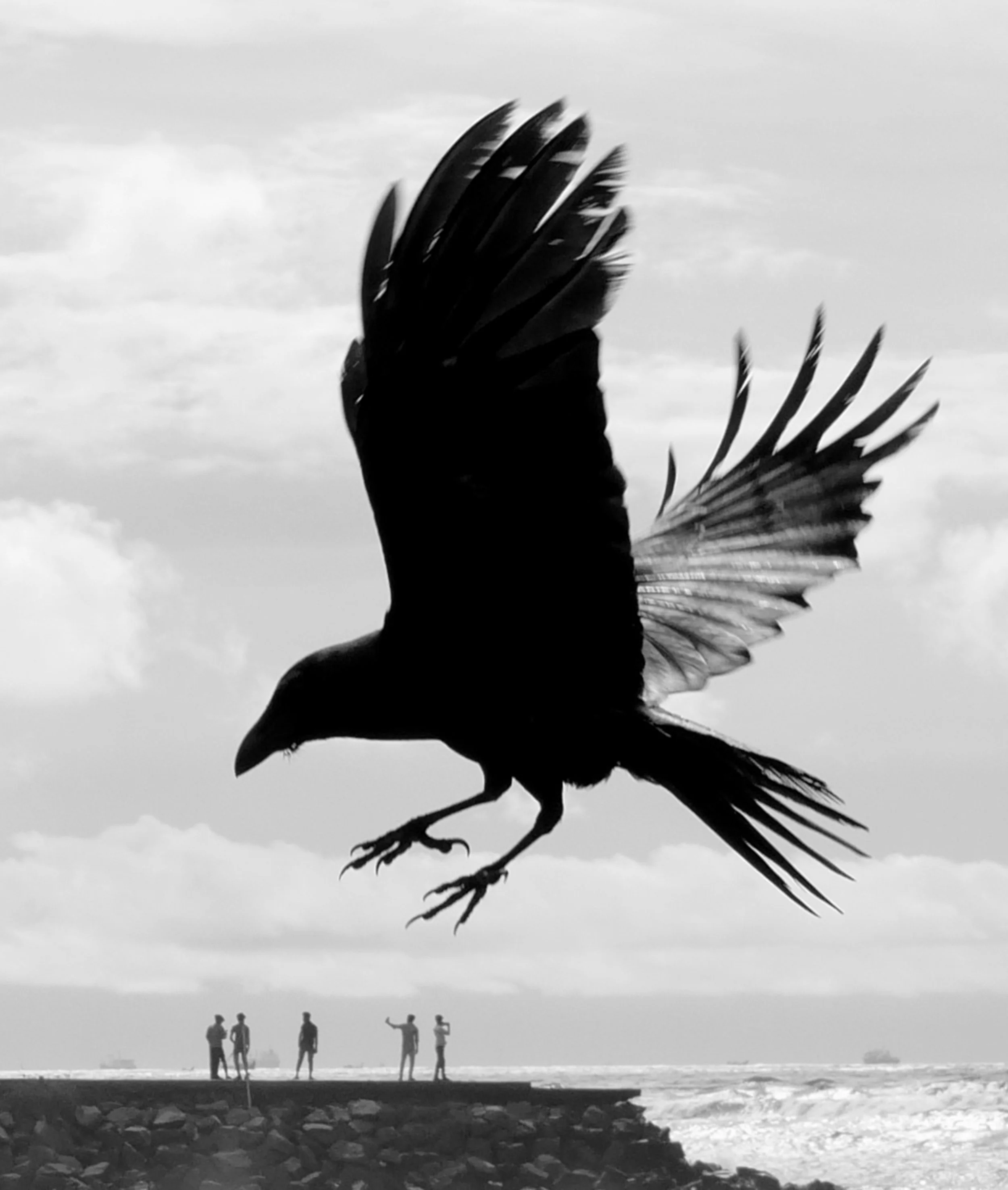Flying By | fby016