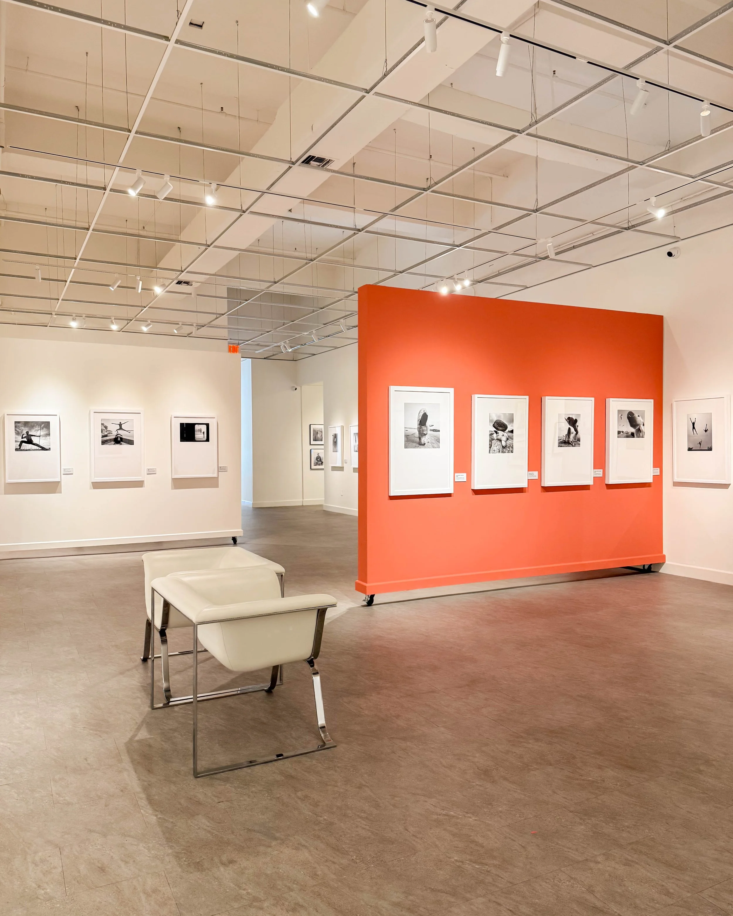    dimpy-bhalotia-museum-photography-gallery.jpg
