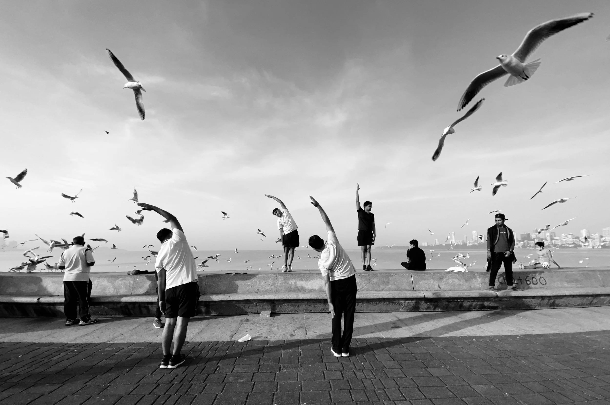 Flying By | fby013