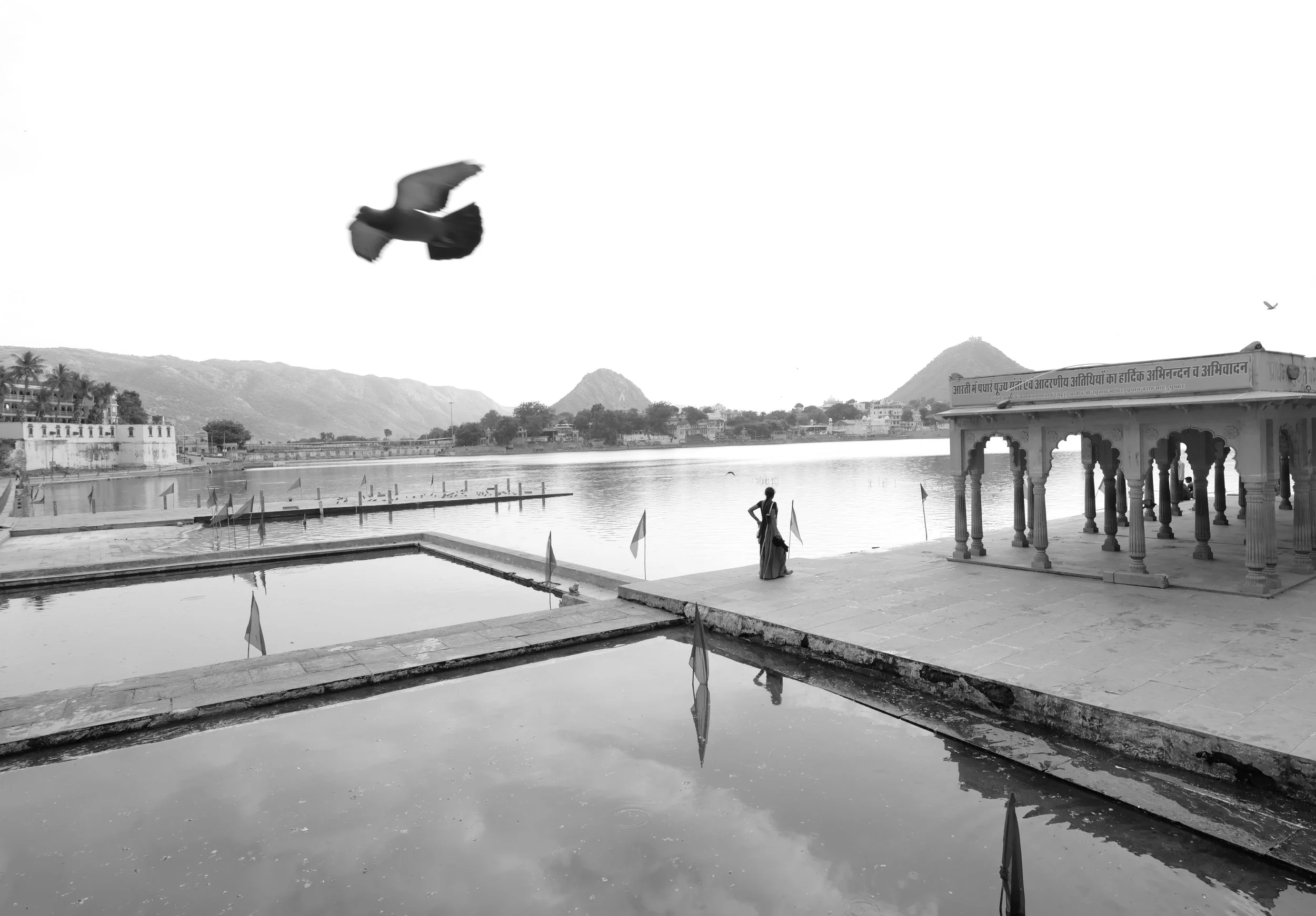 Flying By | fby019