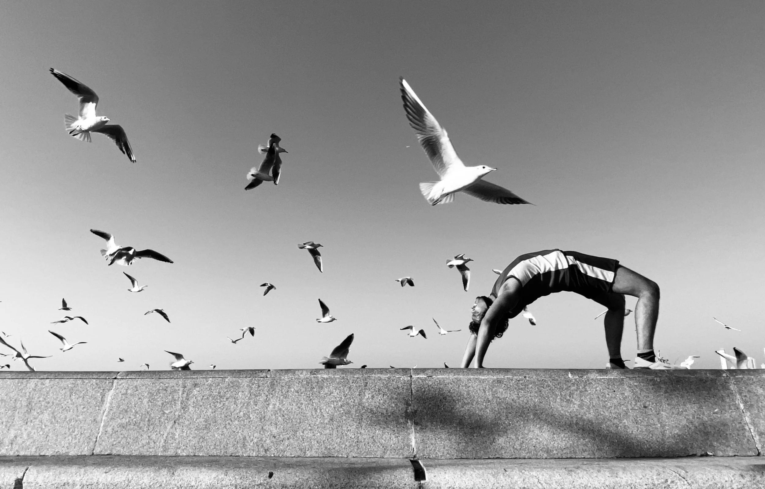 Flying By | fby008