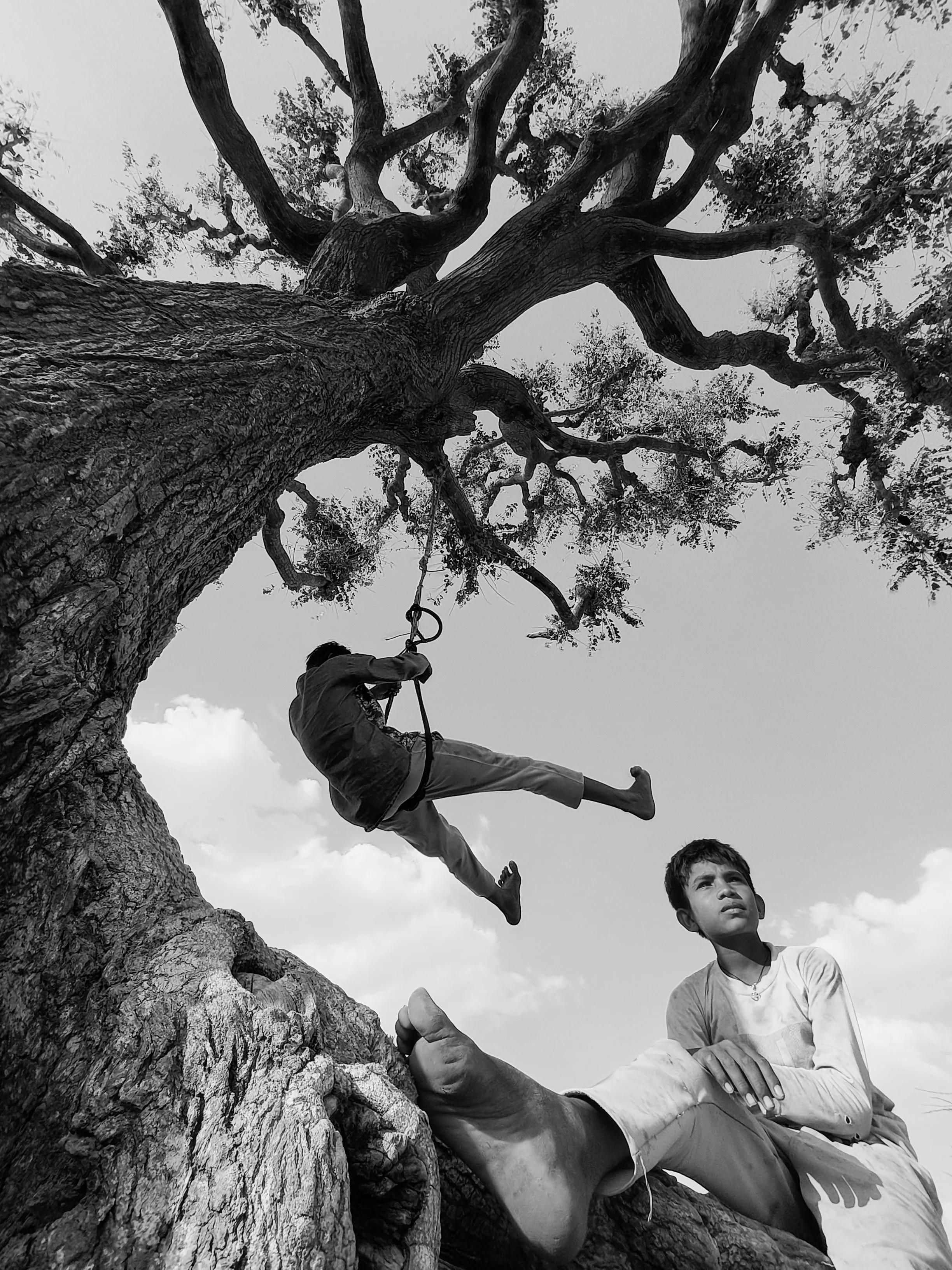 Flying Boys | fb007