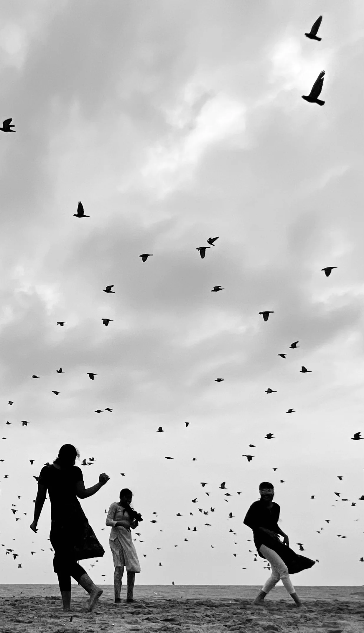 We Run, You Fly | wryf005