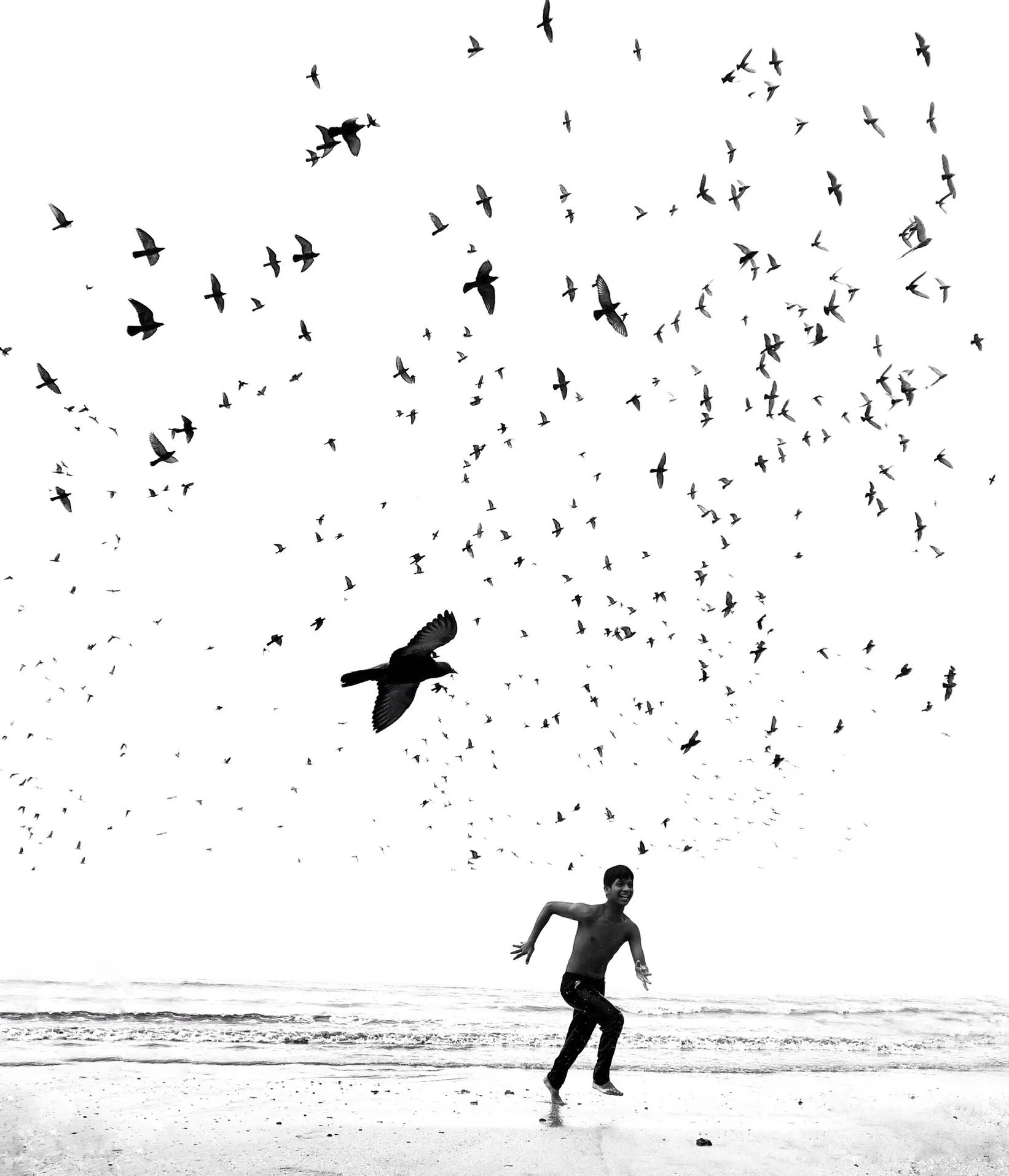 We Run, You Fly | wryf003