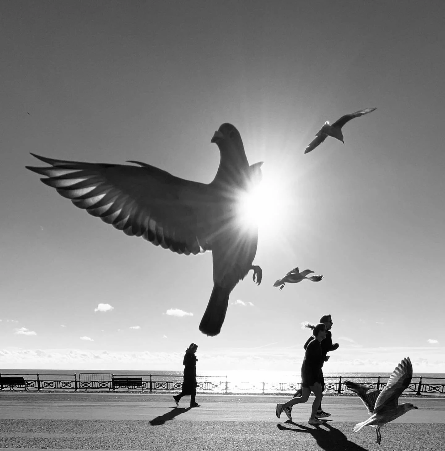 Flying By | fby006