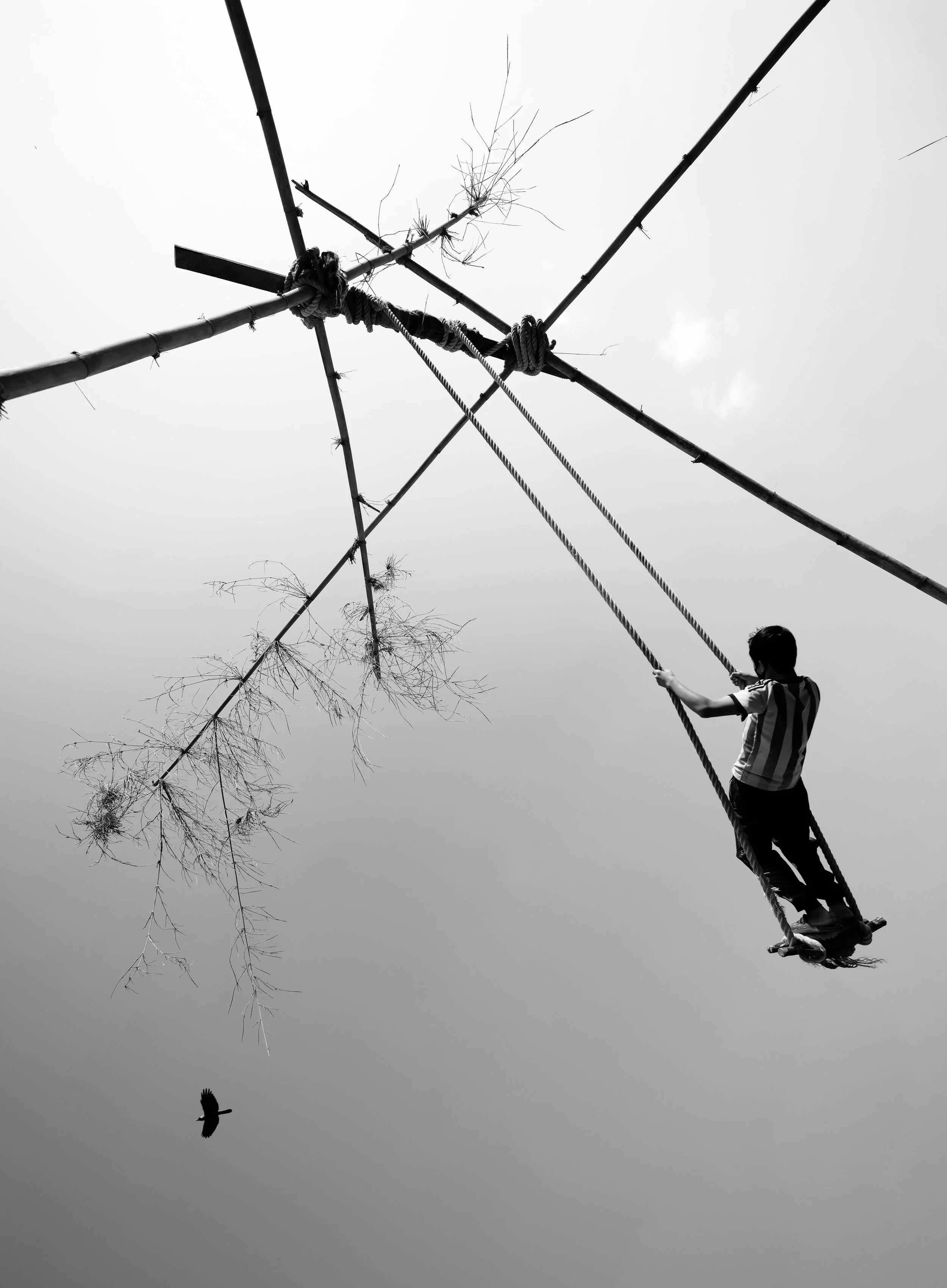 Flying Boys | fb002