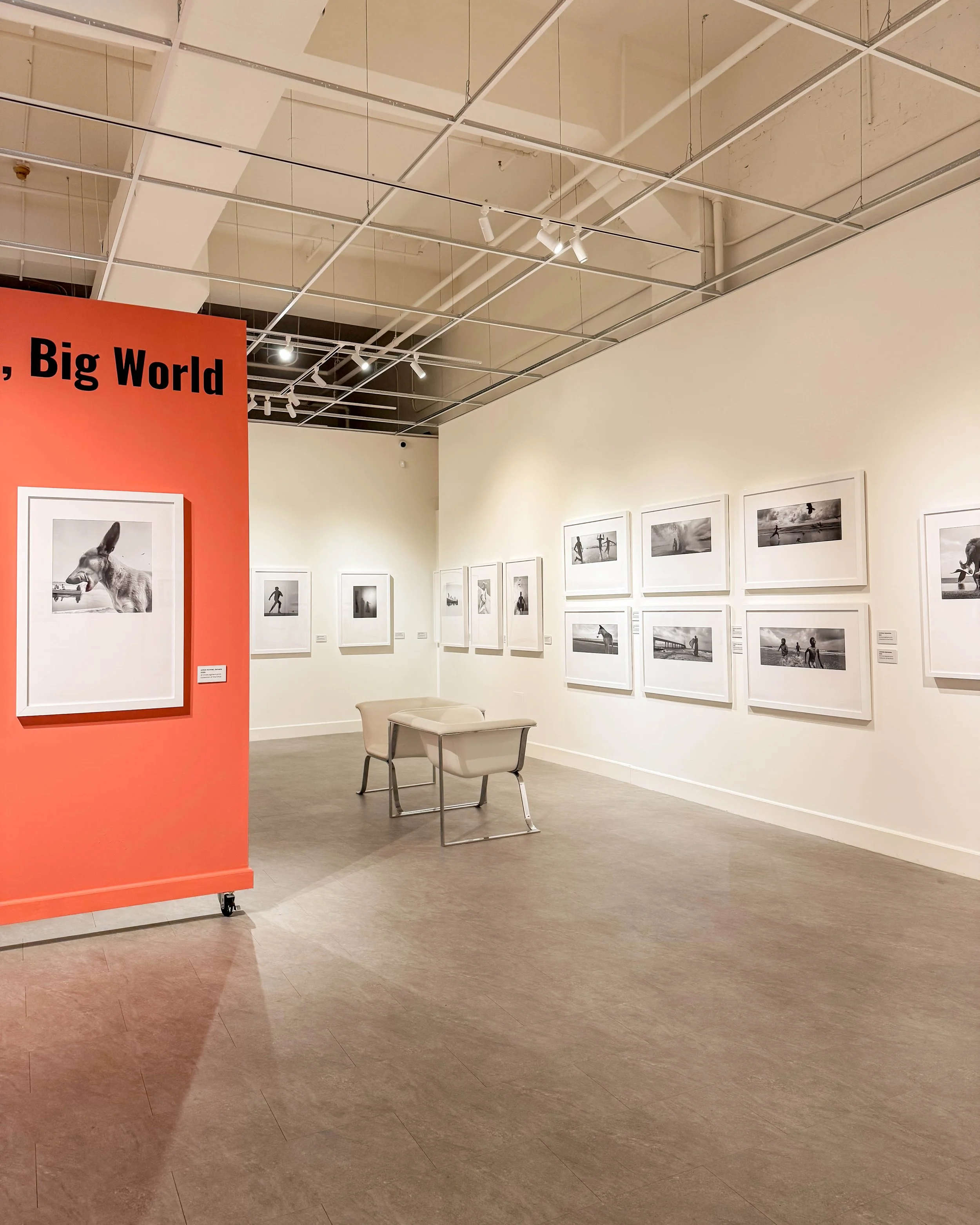     dimpy-bhalotia-photography-solo-show.jpg