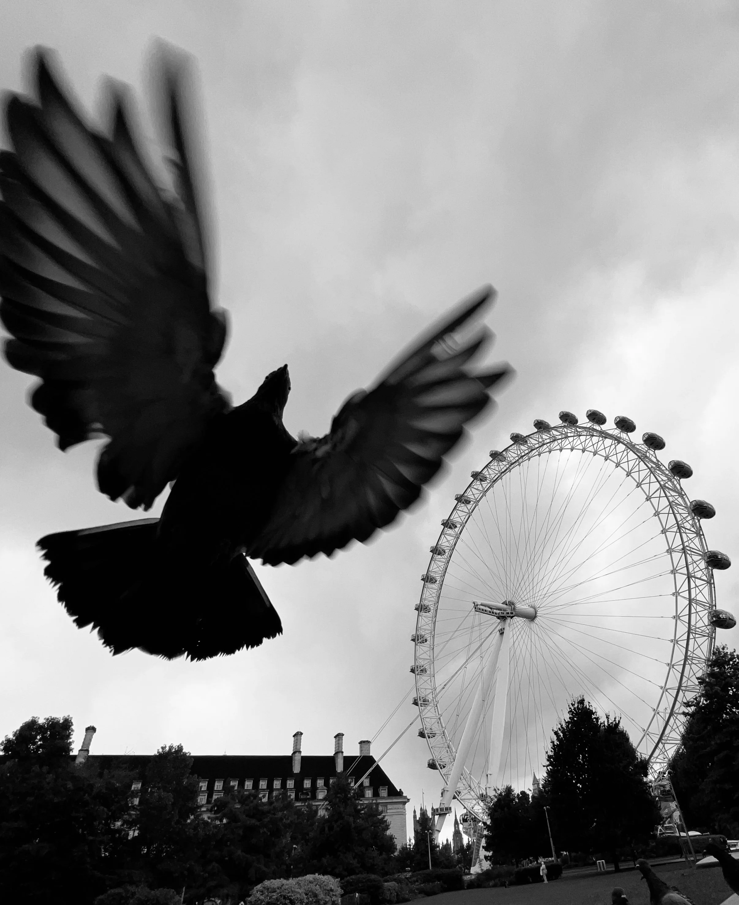 Flying By | fby016