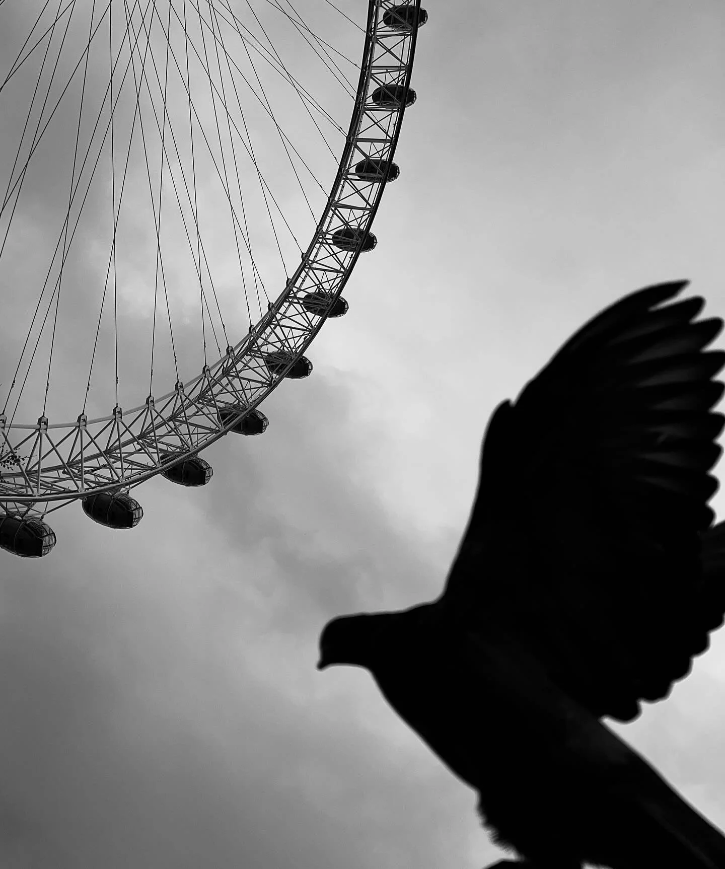 Flying By | fby023