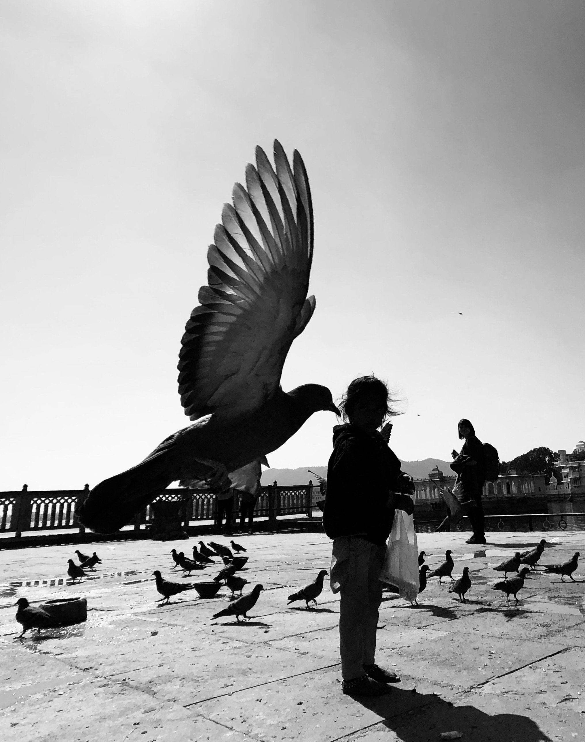 Flying By | fby011