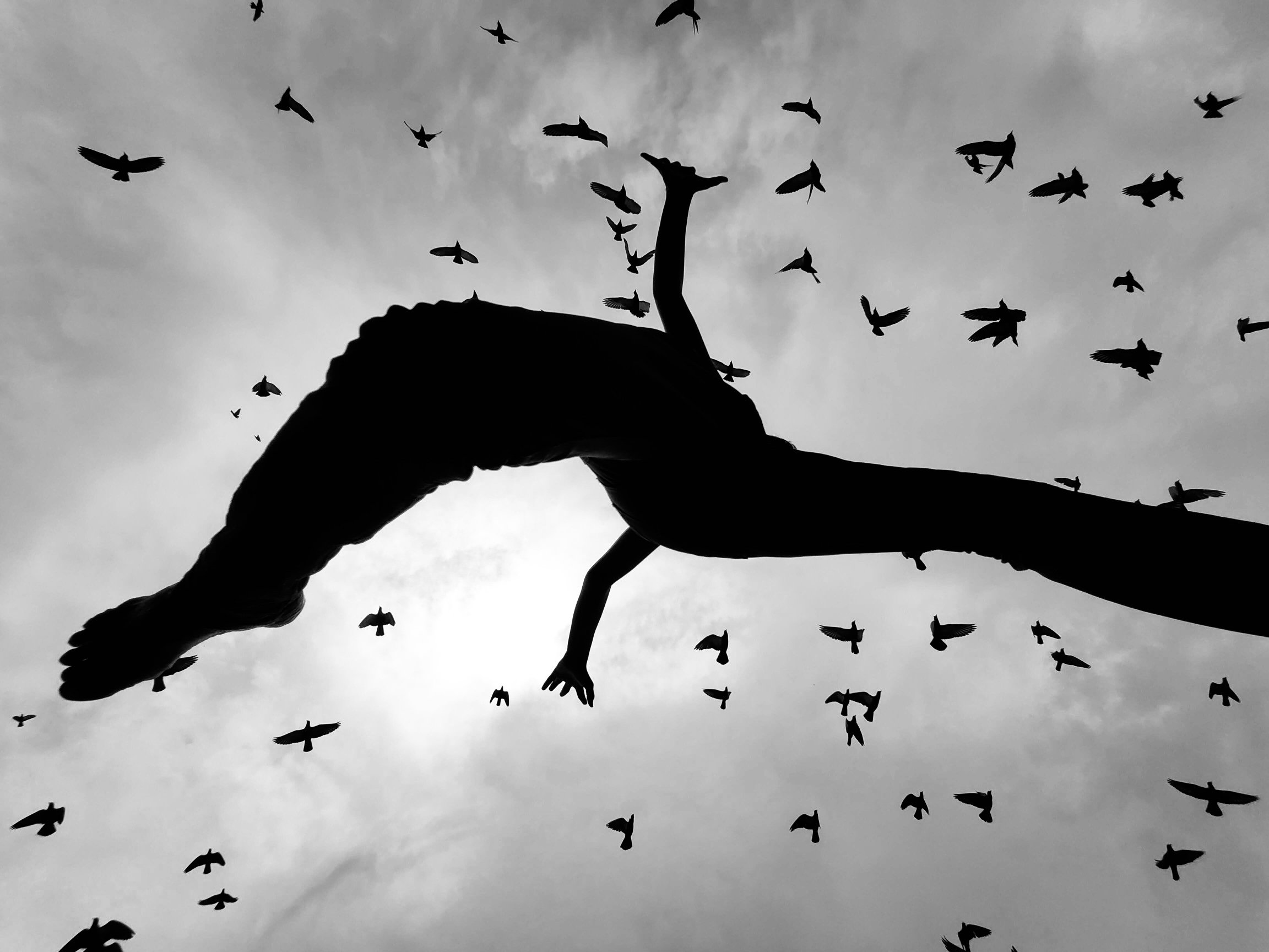 We Run, You Fly | wryf002