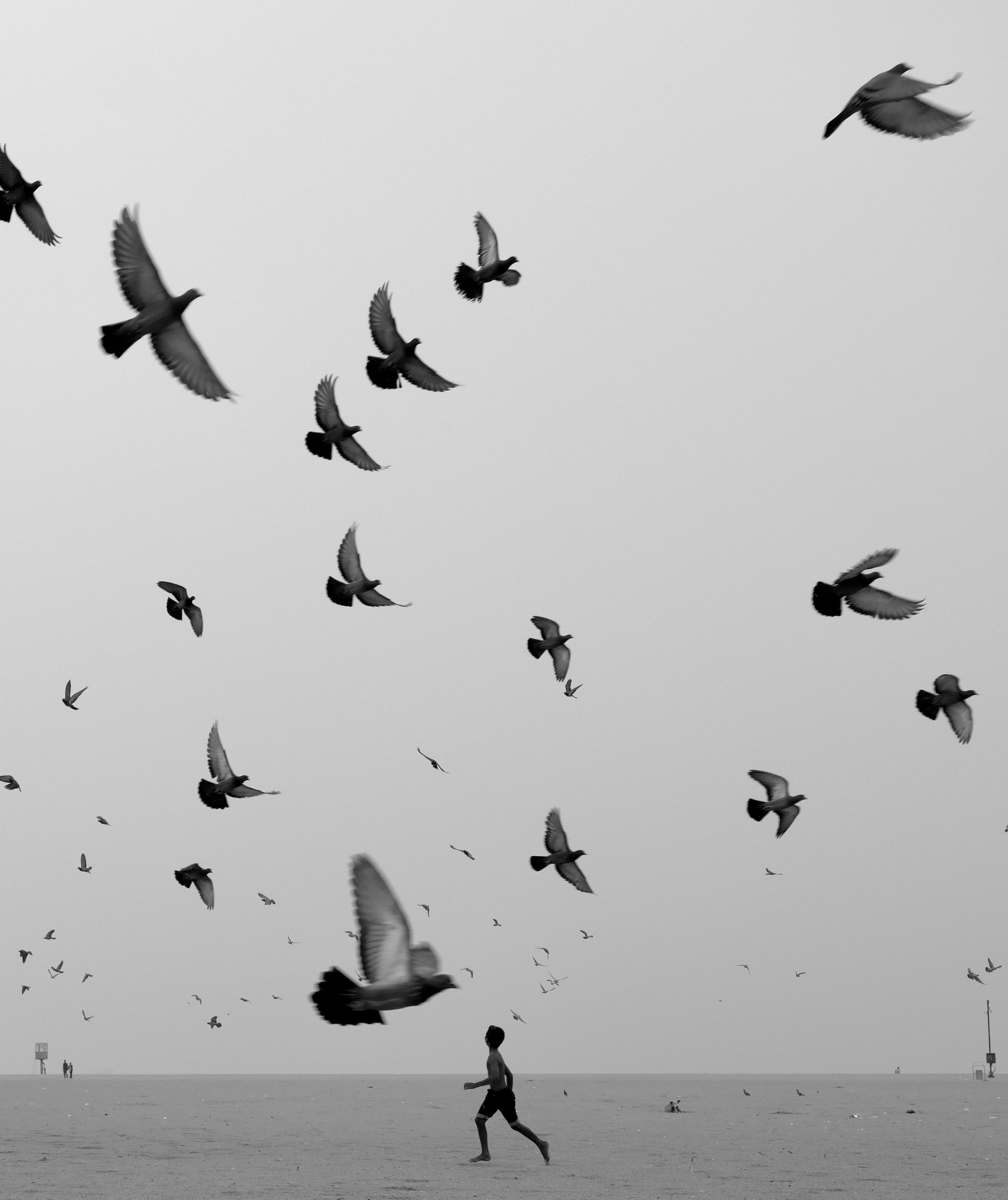 We Run, You Fly | wryf004