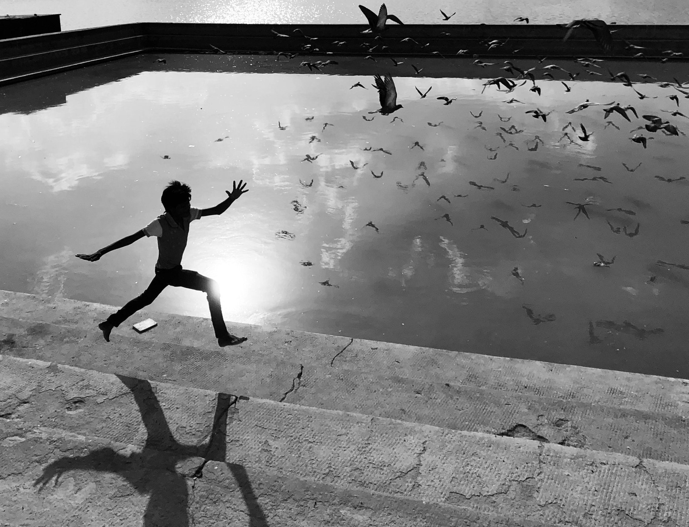 We Run, You Fly | db503
