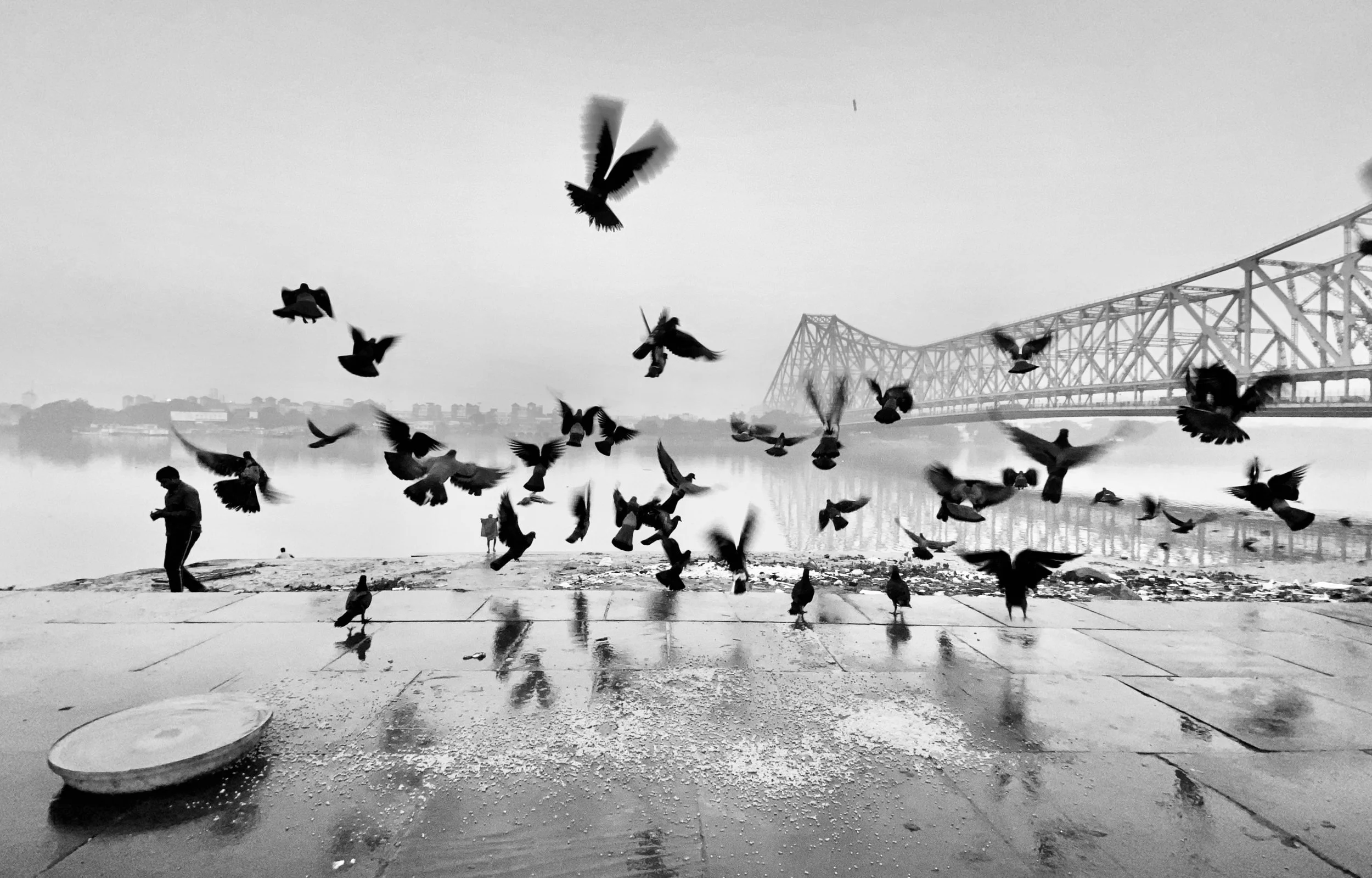 Flying By | fby020