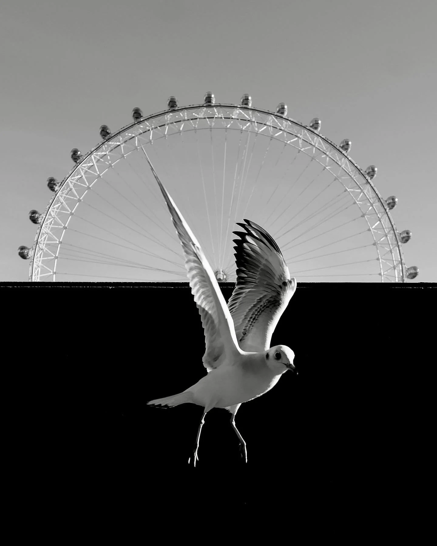 Flying By | fby001