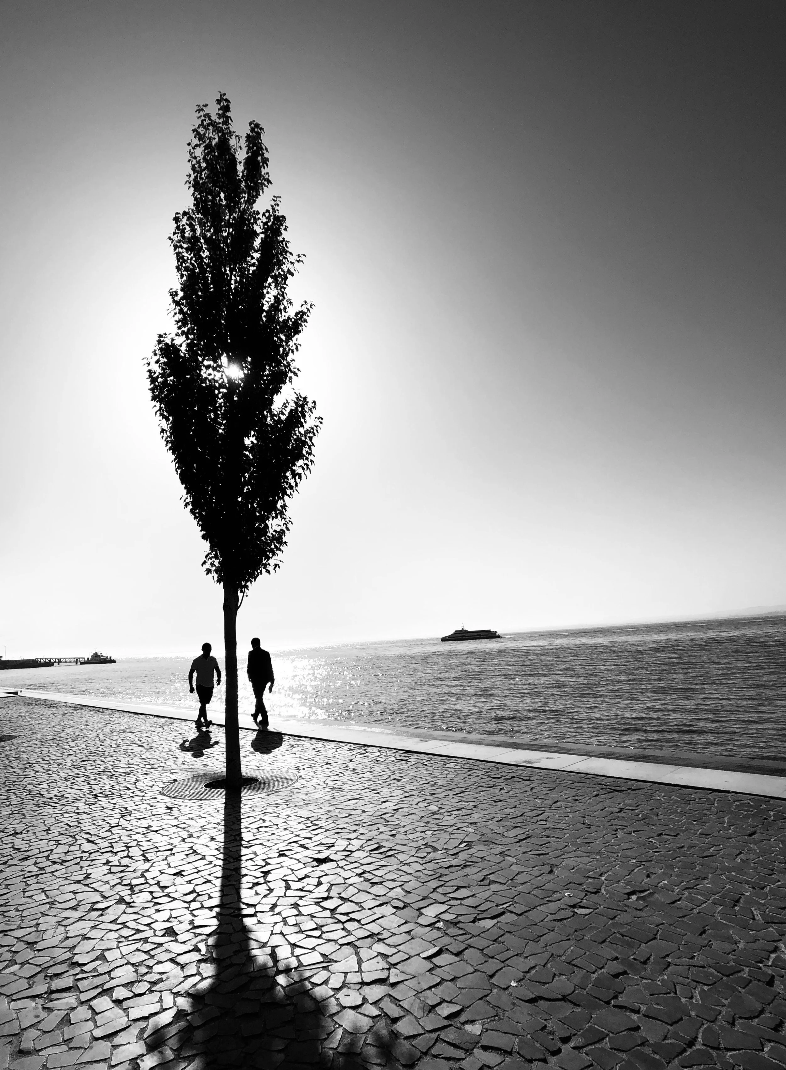 Cycle of Life | cl003