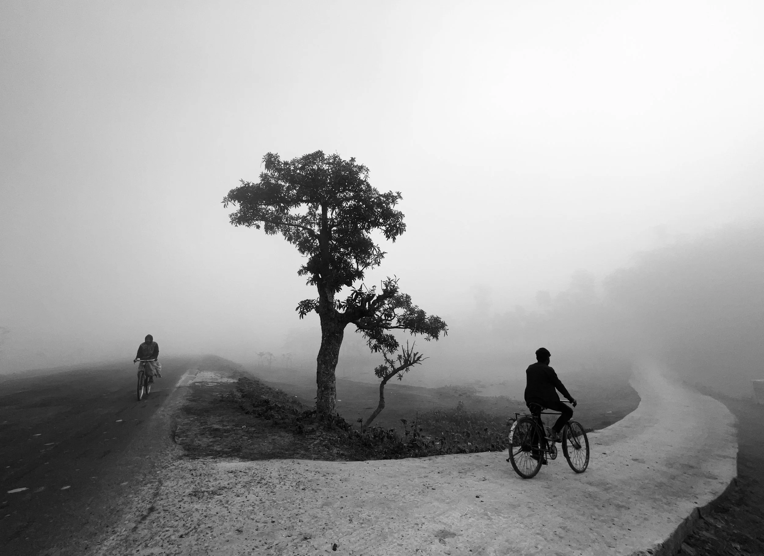 Cycle of Life | cl002