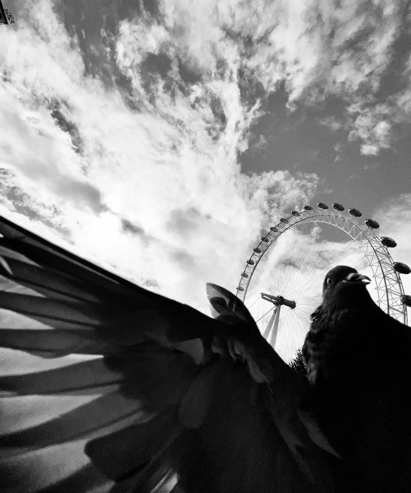 Flying By | fby003