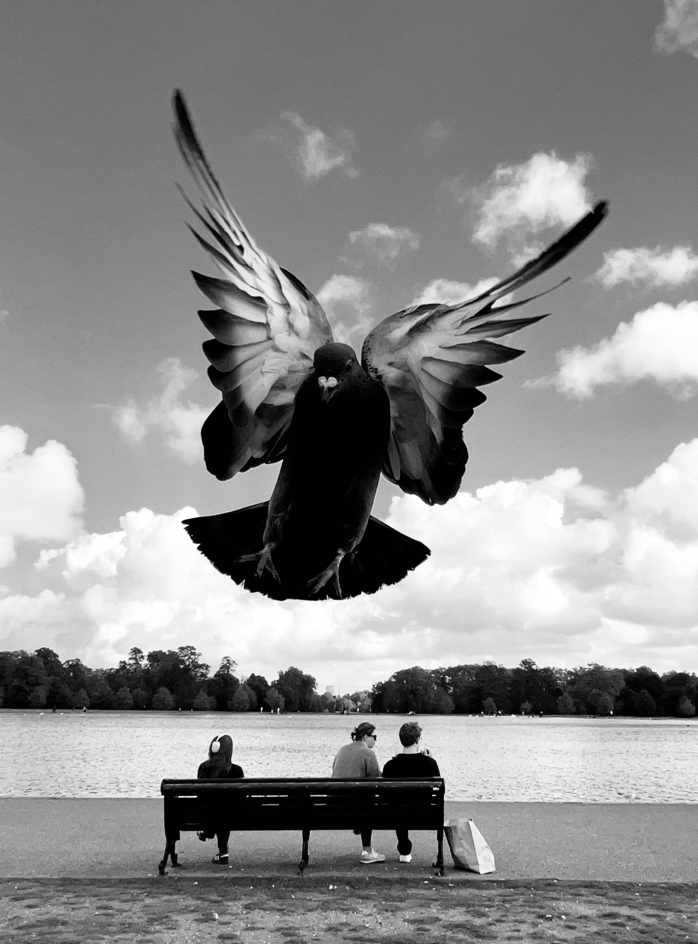 Flying By | fby005