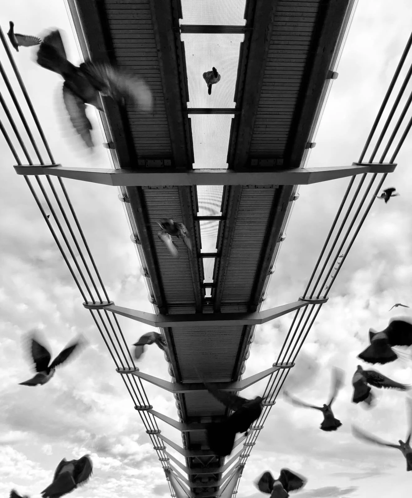 Flying By | fby009