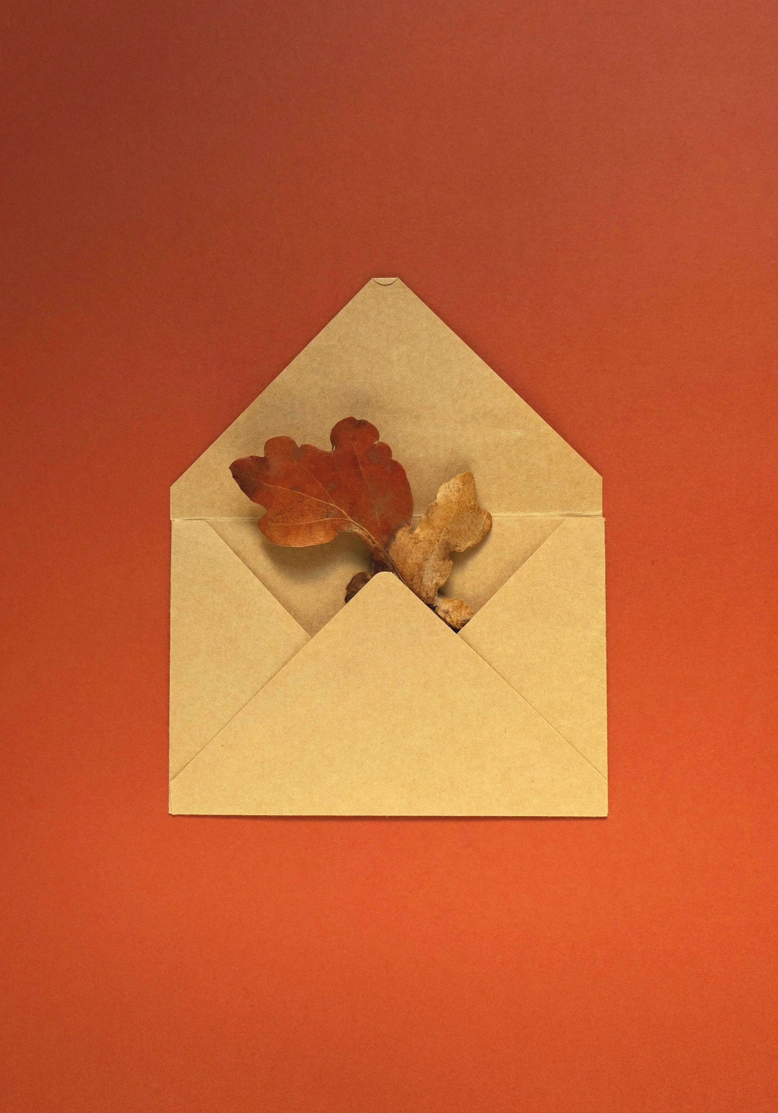 Photo by Victoria Druc on Unsplash. Love letter with leaves.