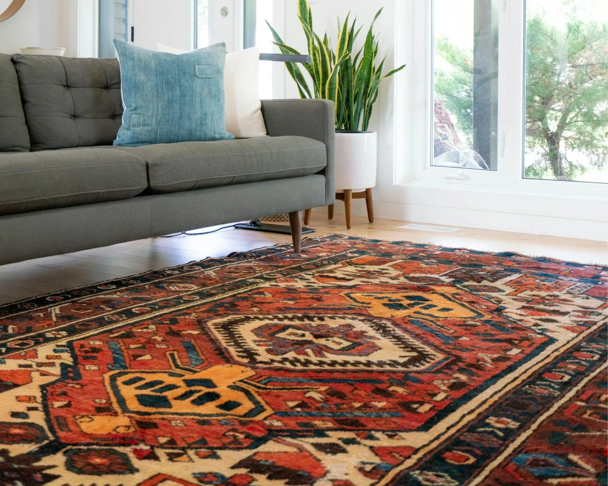 Living room with a gray tufted sofa, a blue pillow, a white pillow, a potted snake plant, a large window showing trees outside, and a colorful patterned rug on a wooden floor.