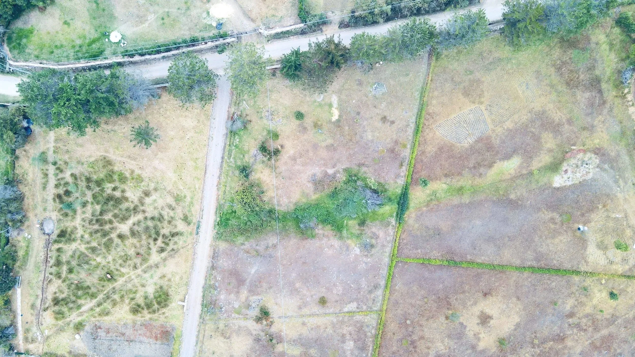 dji_fly_20260915_155620_159_1789505787484_photo.jpg