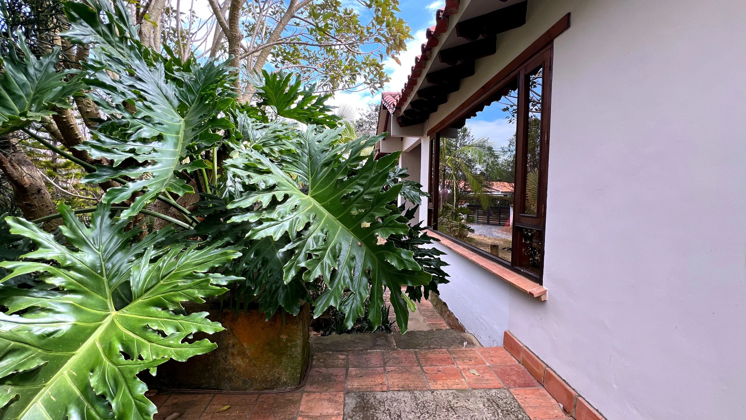 casa9.JPG