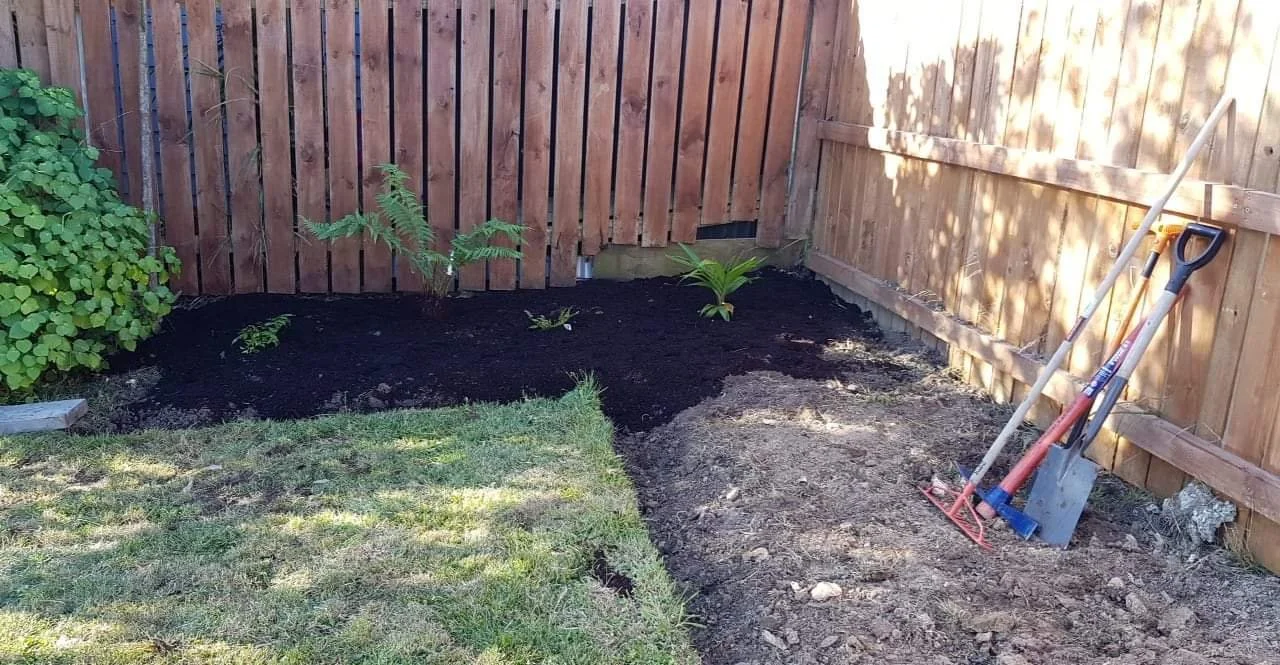 A backyard garden area with new soil and plants along a wooden fence, garden tools leaning against the fence, and a partially grass-covered lawn.