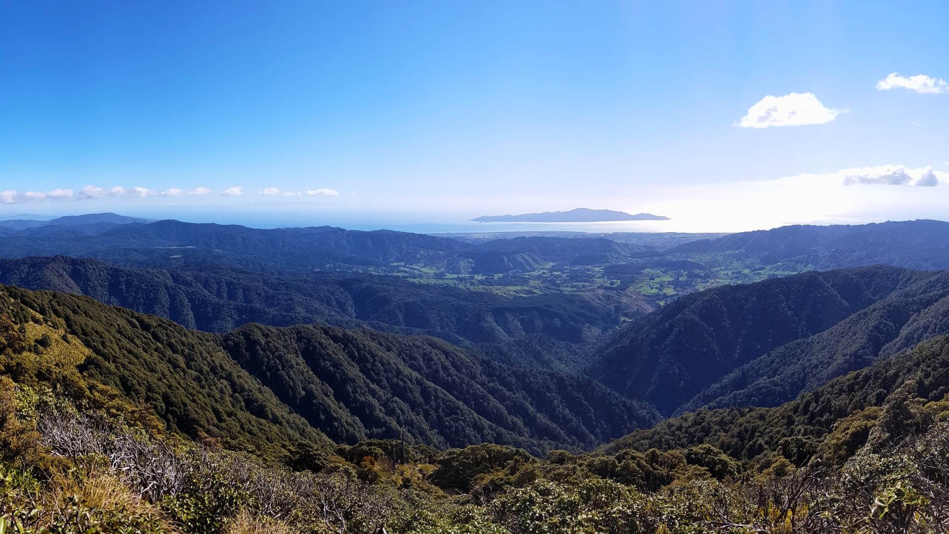 Gardening on the Kāpiti Coast
