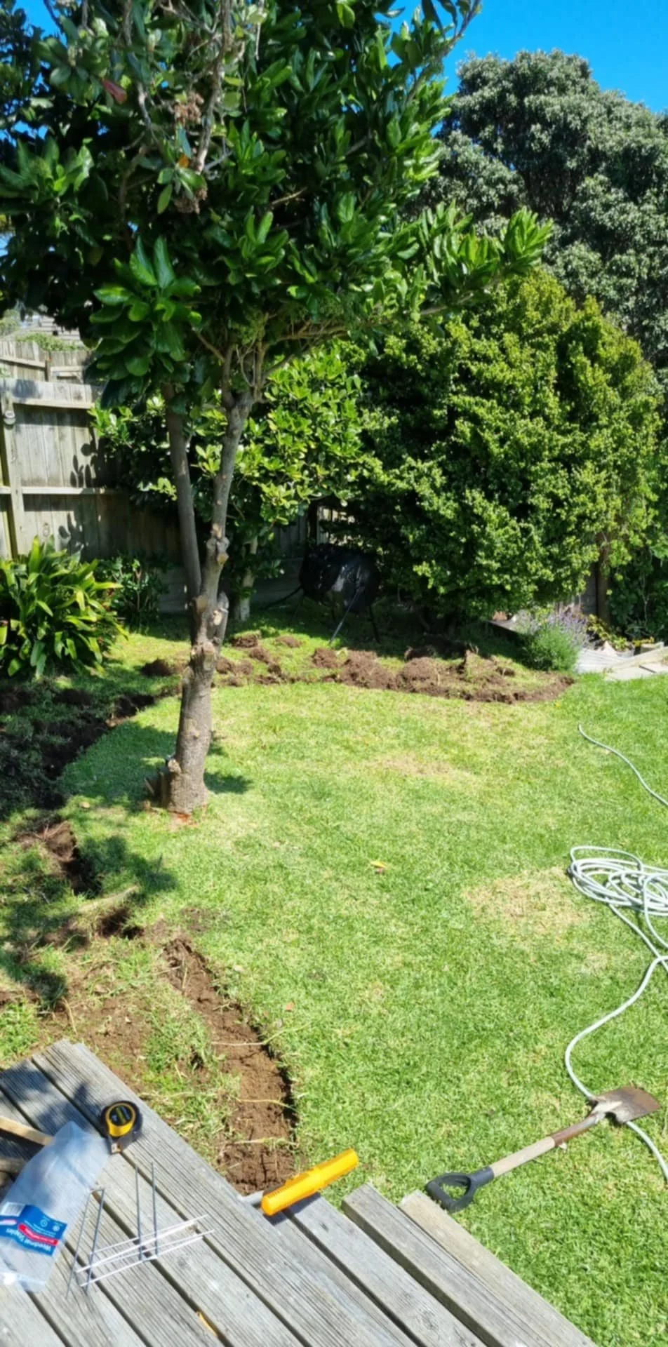 Backyard garden with a small tree, lush green bushes, a wooden fence, and garden tools on a deck, including a shovel, garden wire, and a measuring tape. The grass is well-maintained, and there are some freshly dug soil patches.
