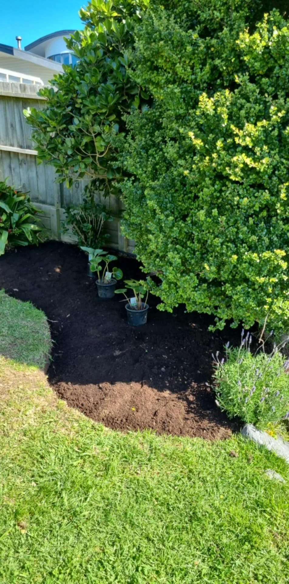 A garden bed with freshly turned dark soil, several small potted plants, and large green bushes and trees in the background.