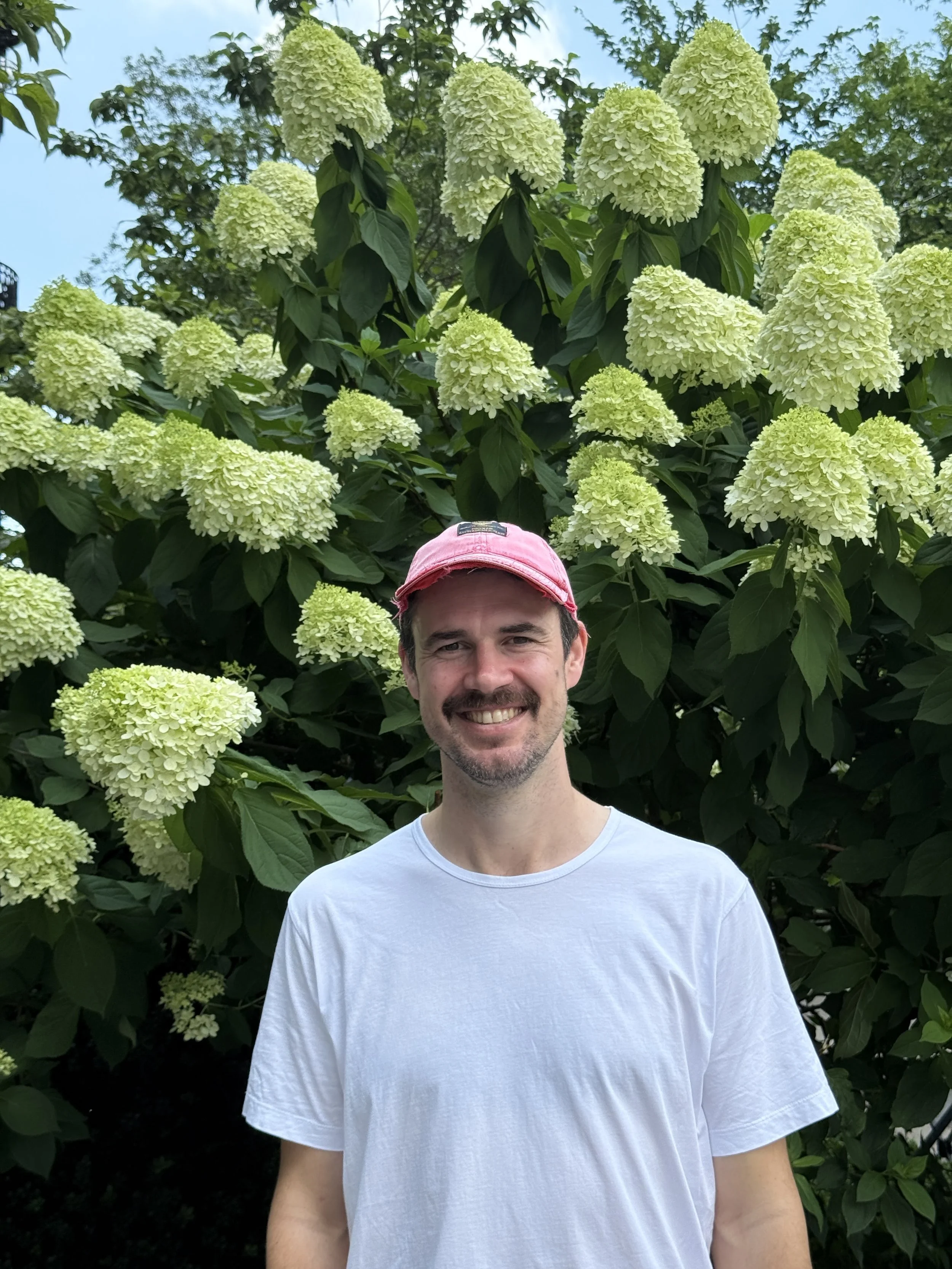 A man in a white t-shirt and pink cap smiling in front of a bush with large light green flower clusters.