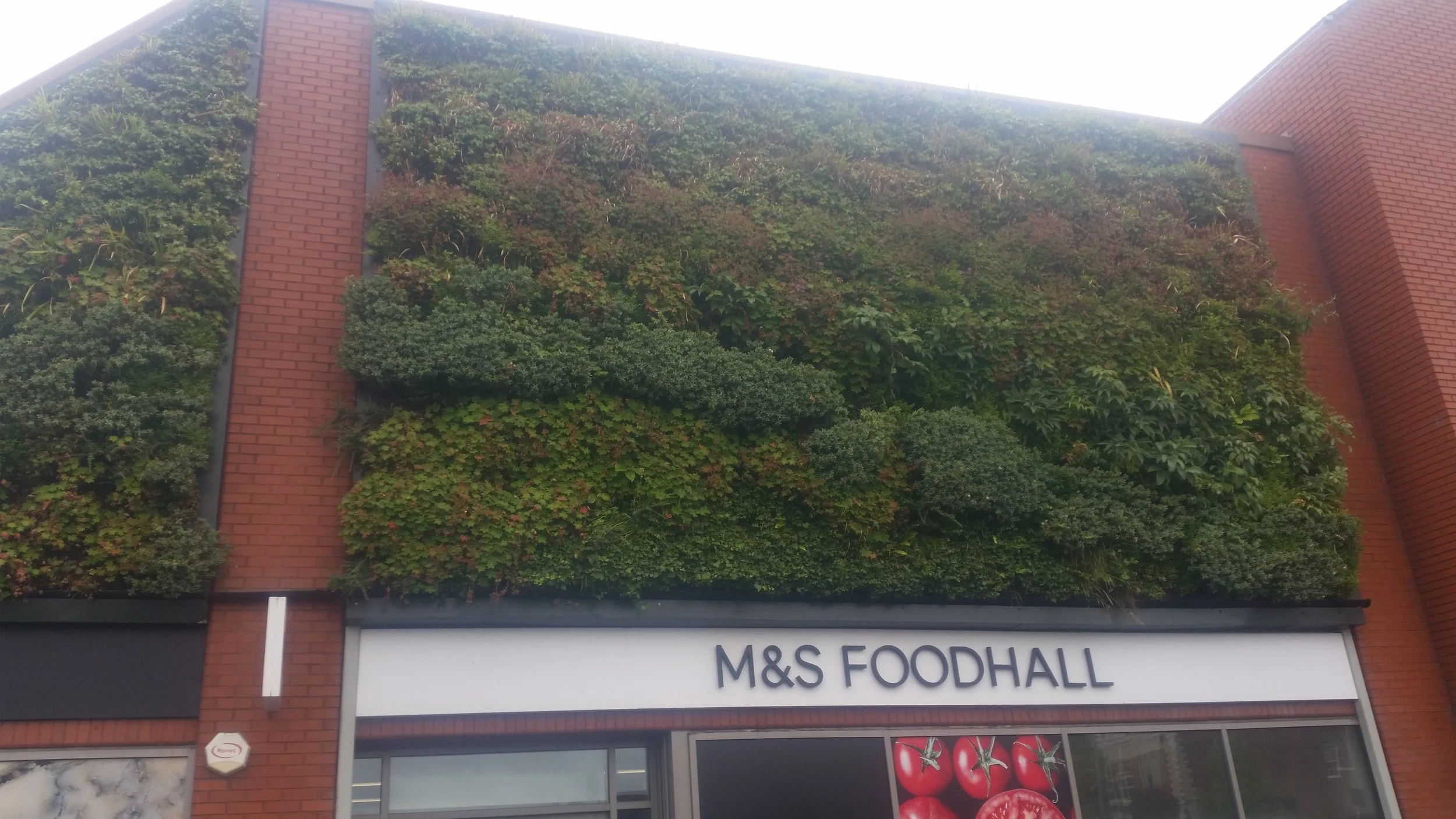 Green wall on the exterior of a building with the sign 'M&S Foodhall' at the bottom.