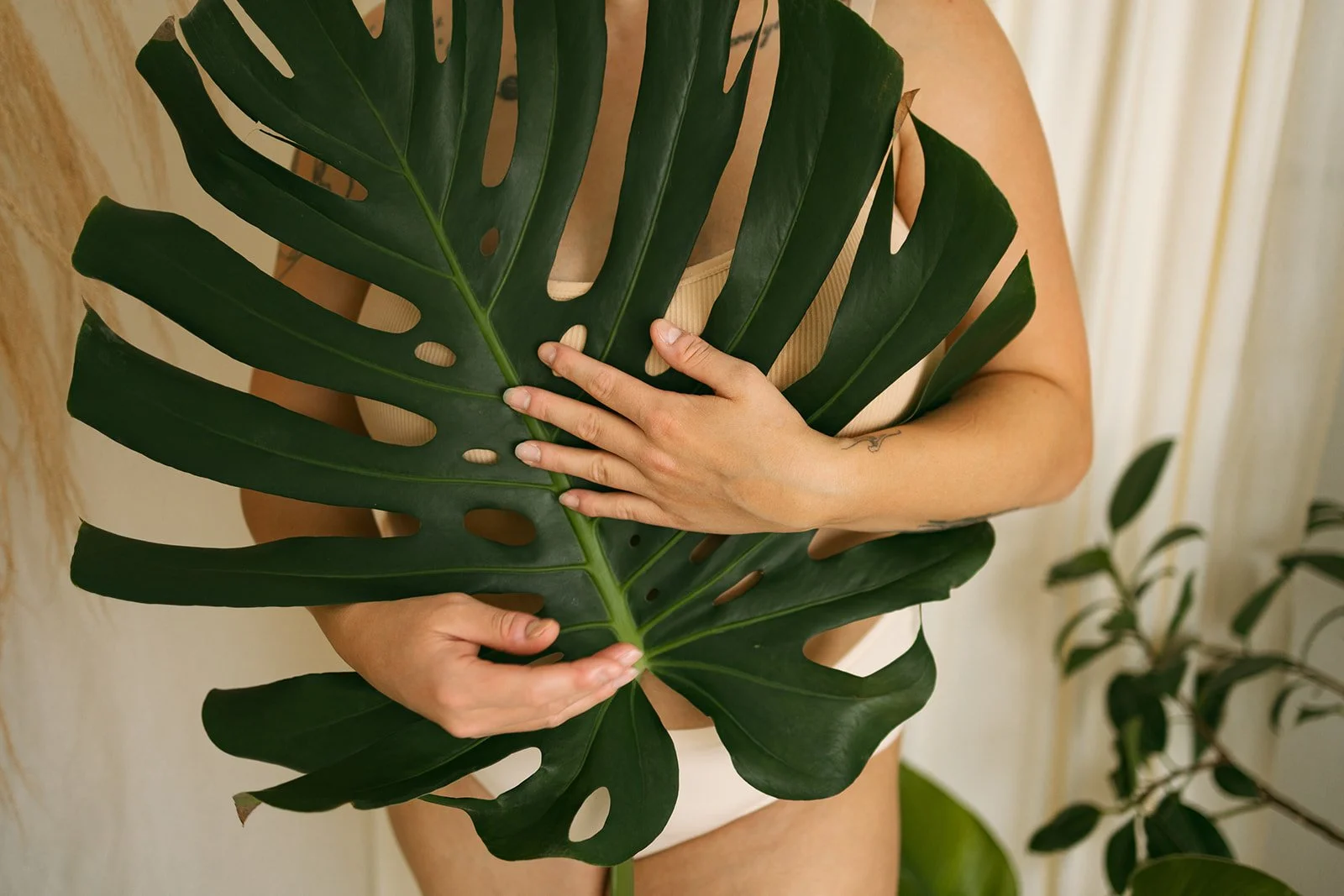Person holding a large green monstera leaf in front of their body, showing part of their arms and torso, with plants and curtains in the background.