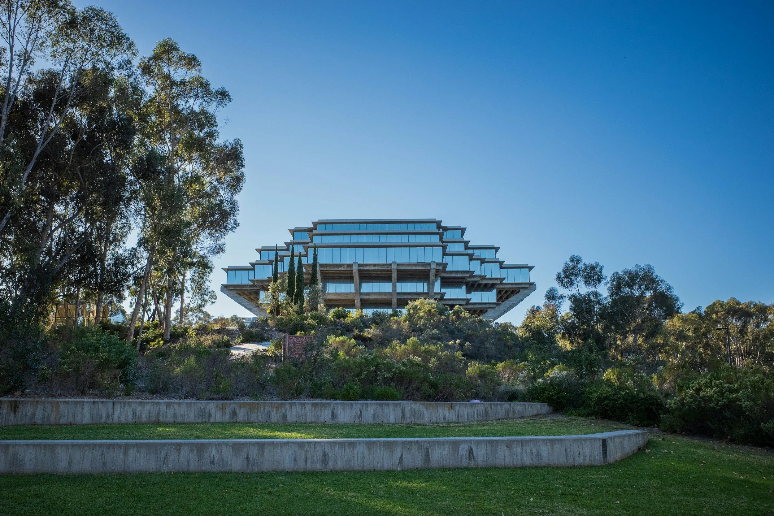 CSUSM Great Lawn