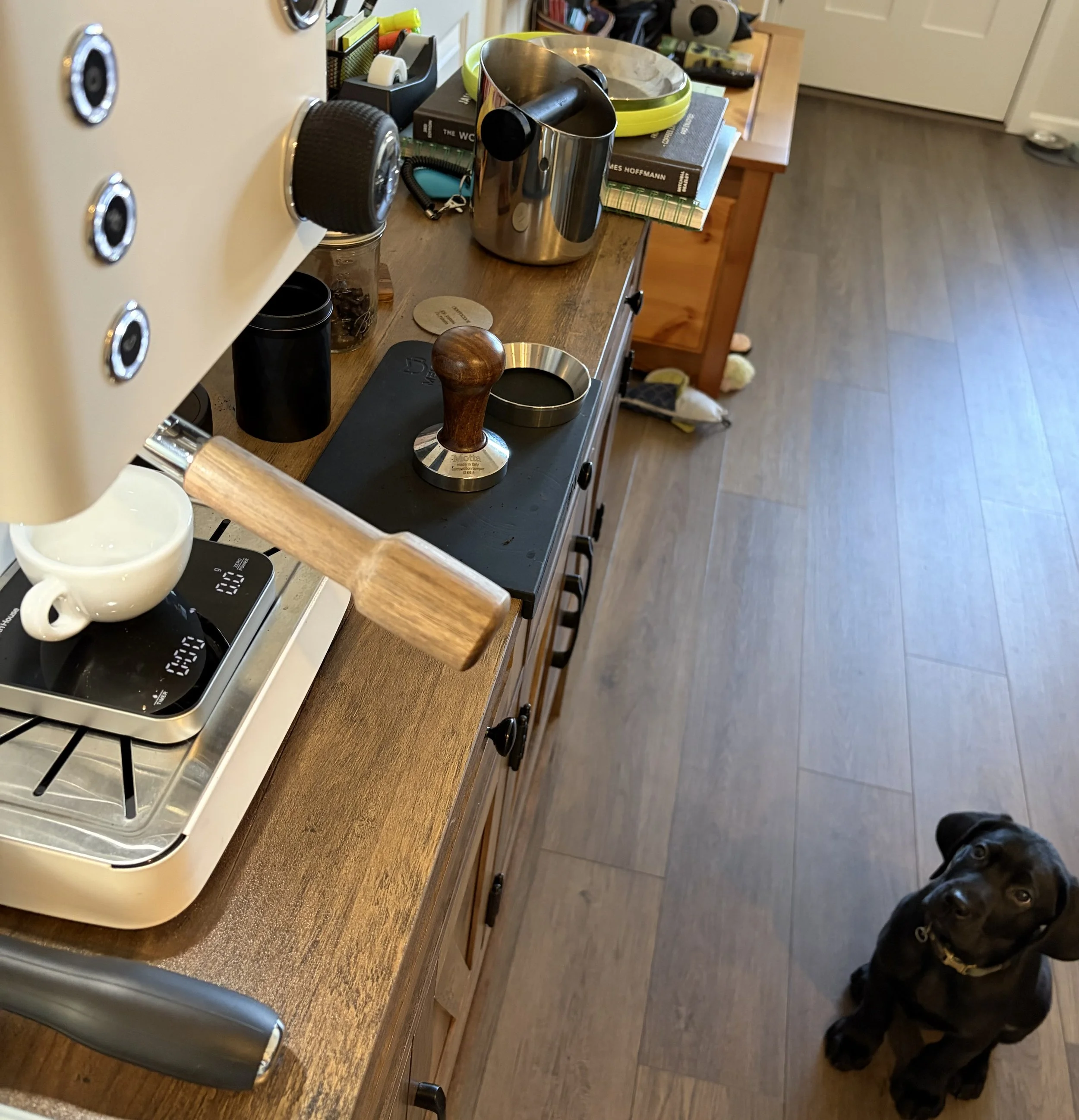 Coffee brewing equipment, books, and roasting supplies on the kitchen counter while Sitka watches nearby.