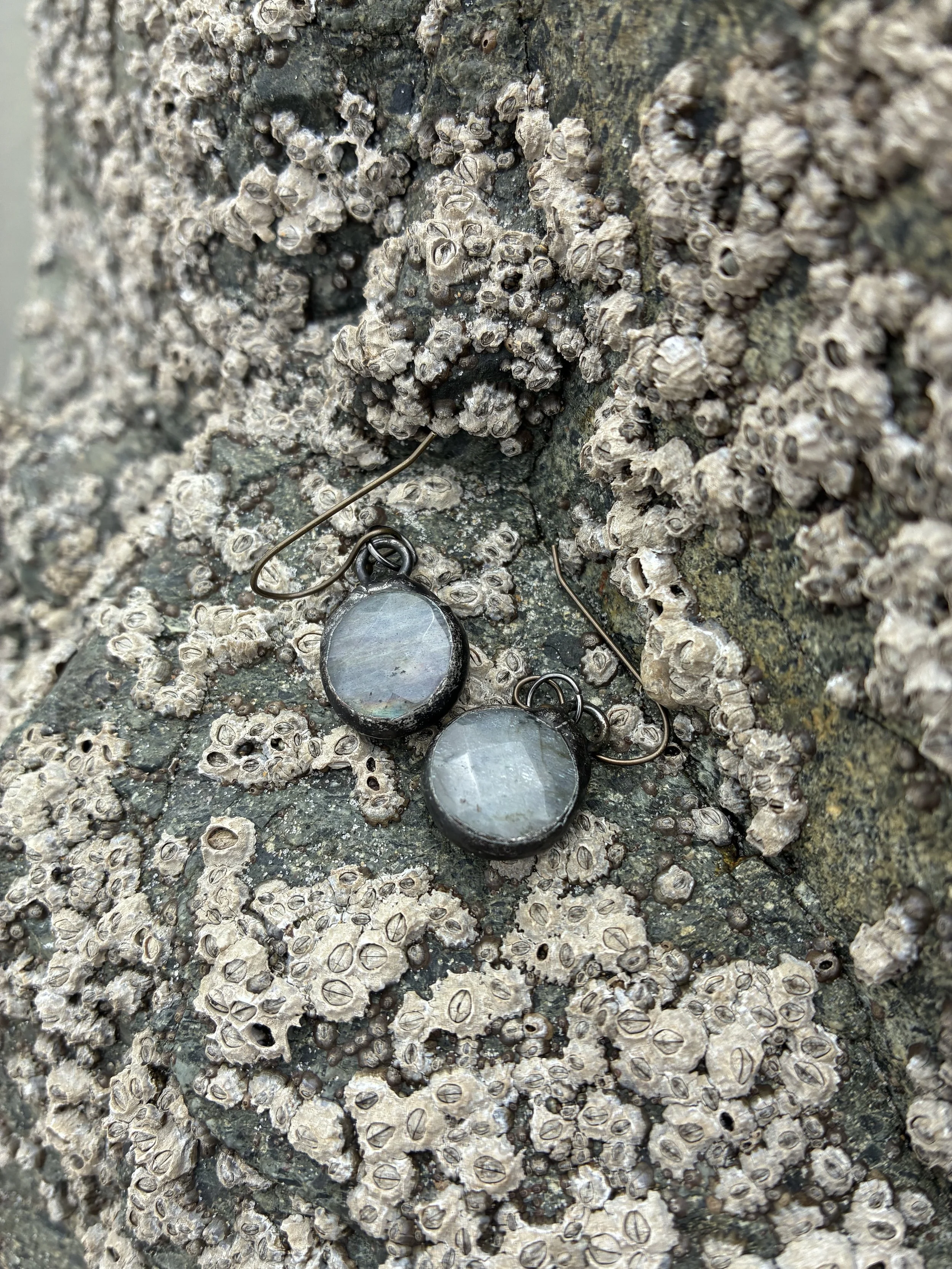 Labradotie sea earrings .jpg