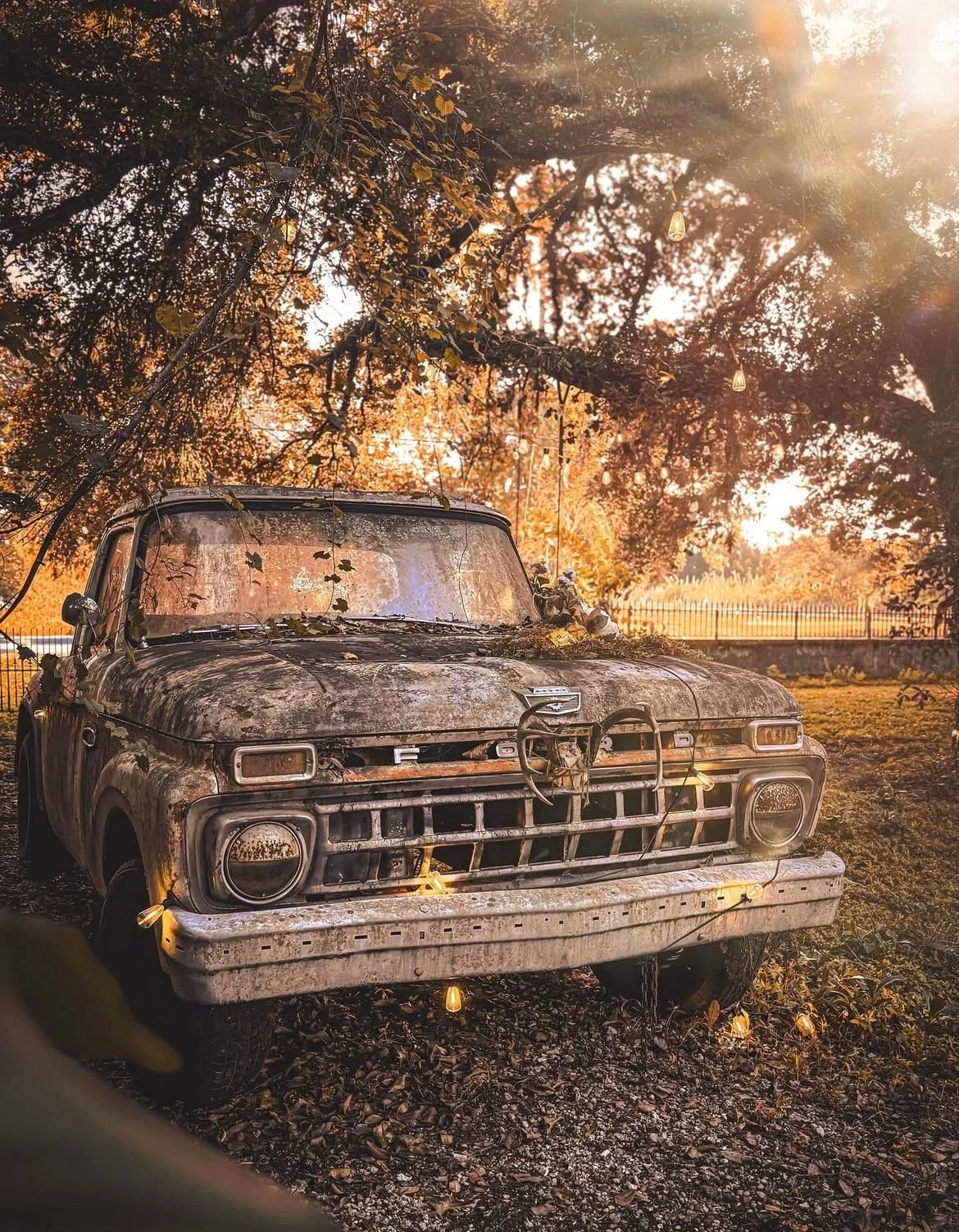 An old, abandoned Ford pickup truck covered in dirt and leaves, parked outdoors beneath a tree with sunlight filtering through the branches.